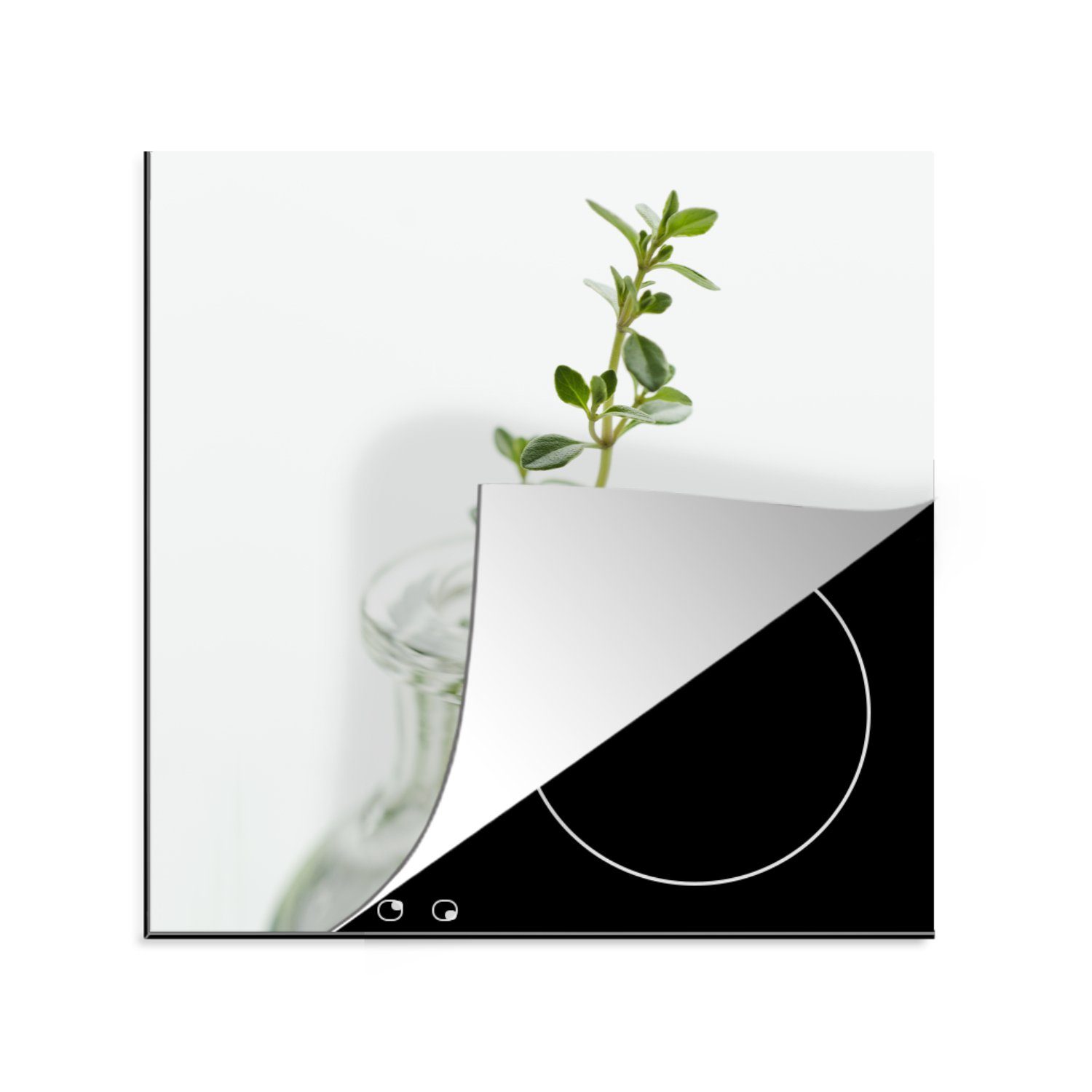 MuchoWow Herdblende-/Abdeckplatte Oregano-Zweig in Vinyl, tlg), transparenten Arbeitsplatte vor 78x78 einer cm, für Vase (1 weißen Hintergrund, küche Ceranfeldabdeckung, einem