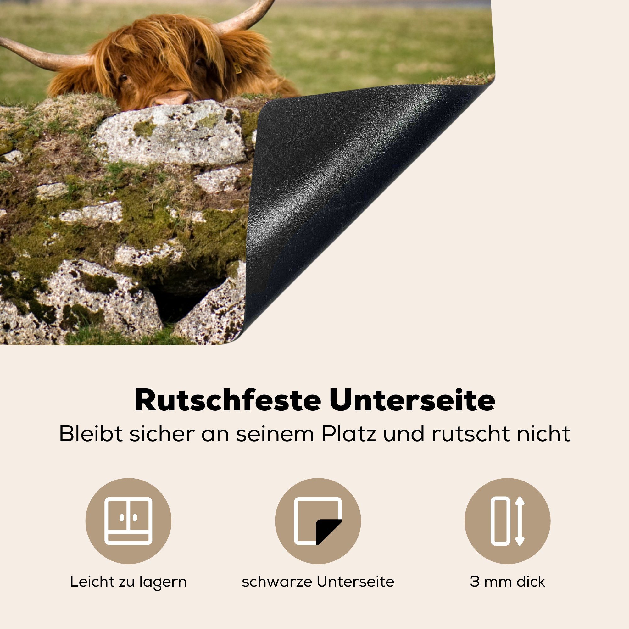 Gras, Steine Induktionskochfeld, Highlander Schottische - Herdblende-/Abdeckplatte Induktionsschutz, 57x51 cm, (1 Ceranfeldabdeckung - Vinyl, MuchoWow tlg),