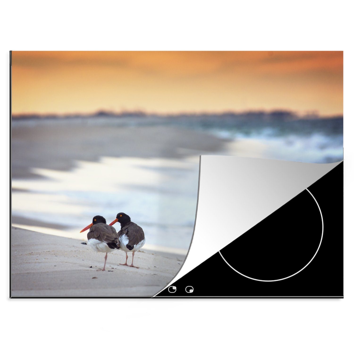MuchoWow Herdblende-/Abdeckplatte Zwei Austernfischer mit einem bunten Himmel im Hintergrund, Vinyl, (1 tlg), 70x52 cm, Mobile Arbeitsfläche nutzbar, Ceranfeldabdeckung | Herdabdeckplatten
