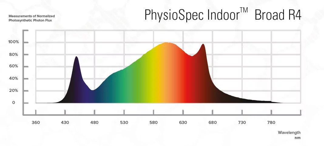 Osram Pflanzenlampe Fluence Spydr Fang • Grow LED 2,6 µmol/J • Vollspektrum günstig online kaufen