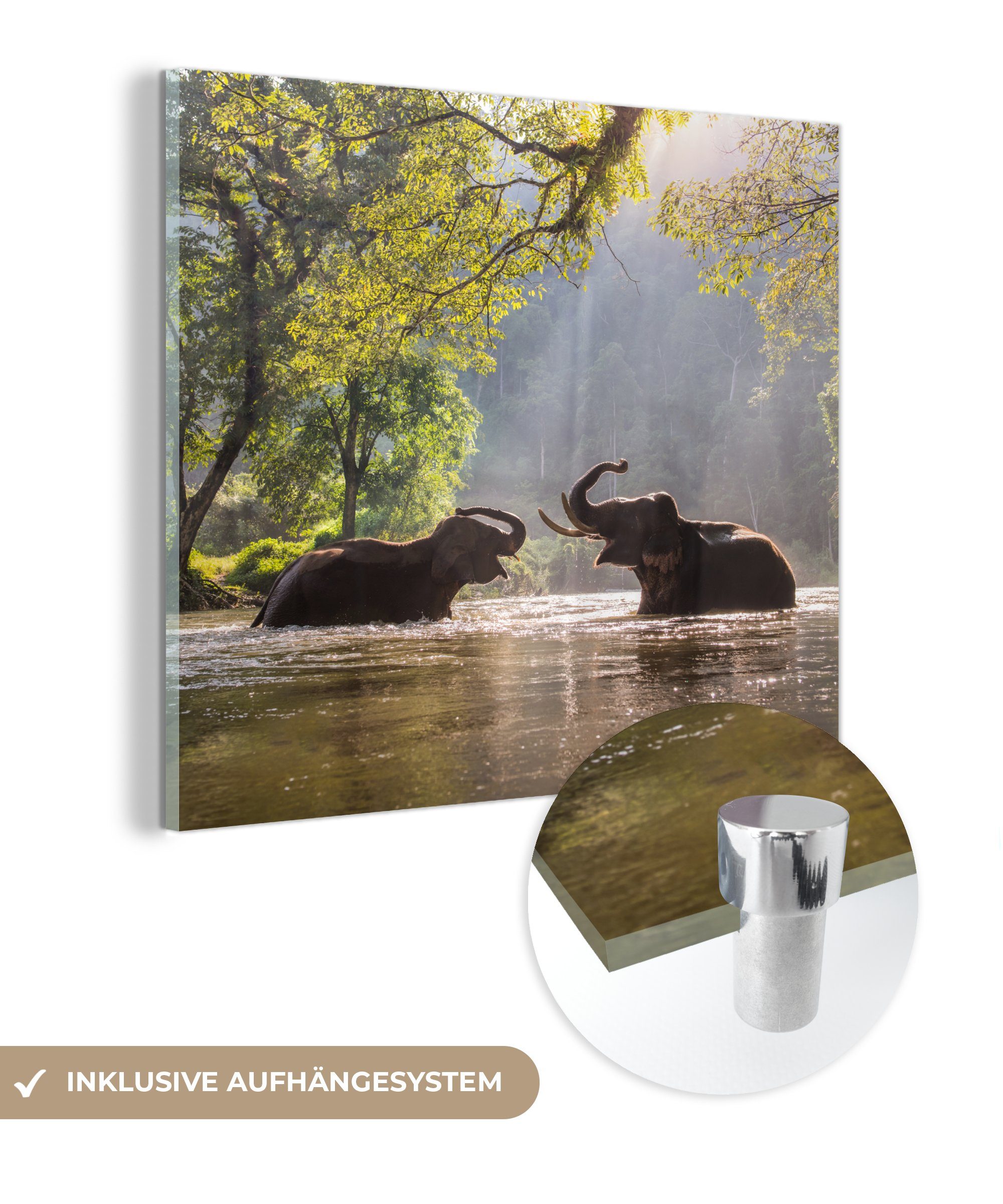 MuchoWow Acrylglasbild Elefant - Wasser - Tiere - Bäume - Sonne, (1 St), Glasbilder - Bilder auf Glas Wandbild - Foto auf Glas - Wanddekoration
