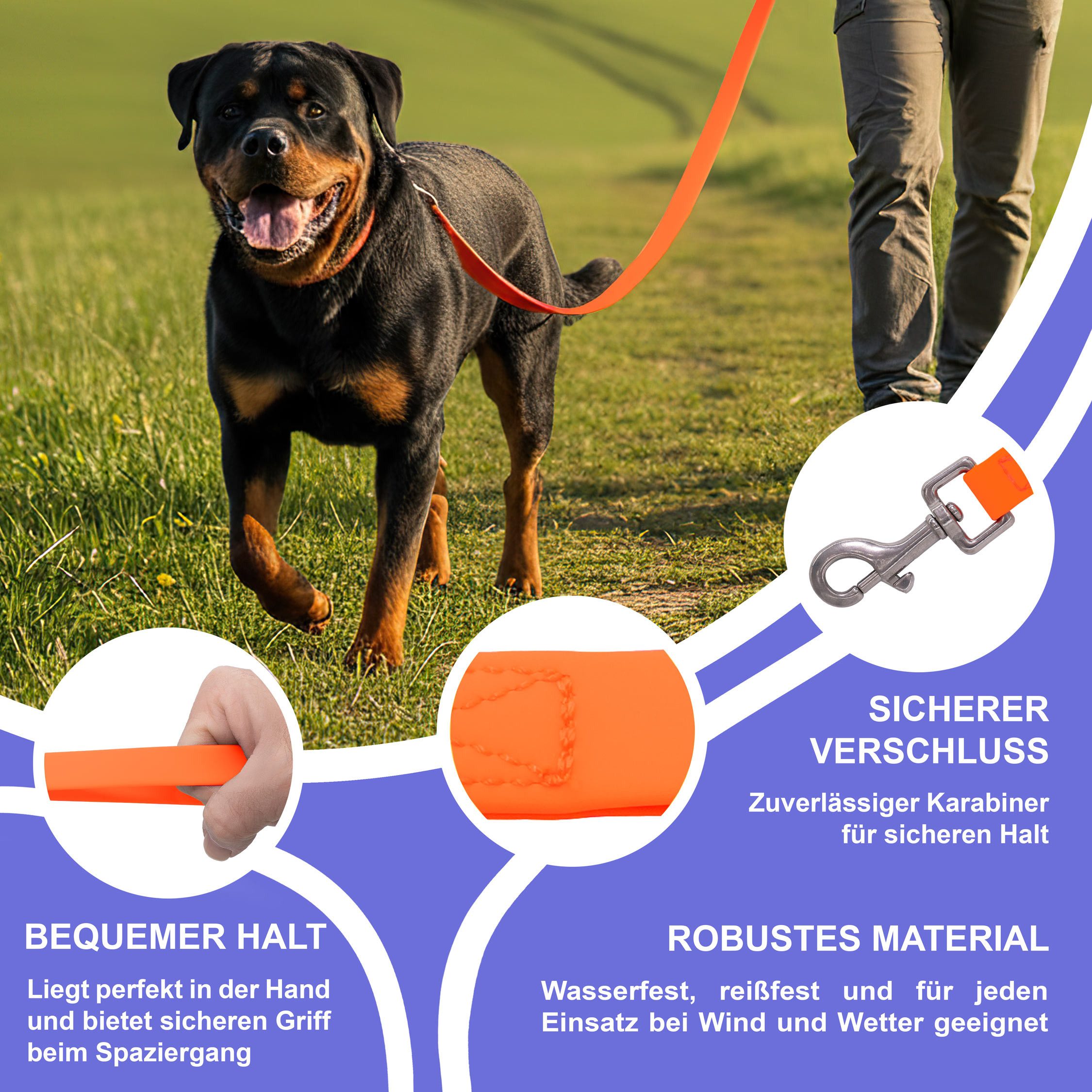 Reichstadt Hundeleine RS Pets Führleine PVC 25RSP086, PVC, Weiche Handschlaufe mit Soft-Wrist-Strap