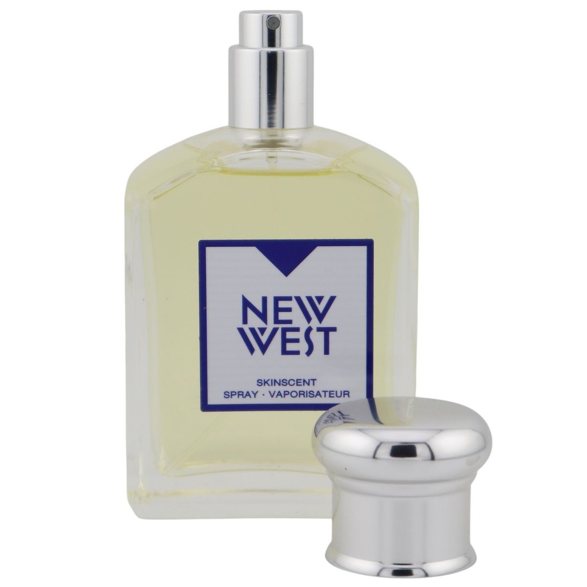 aramis Eau de Toilette Aramis New West for Him Skinscent Spray 100 ml