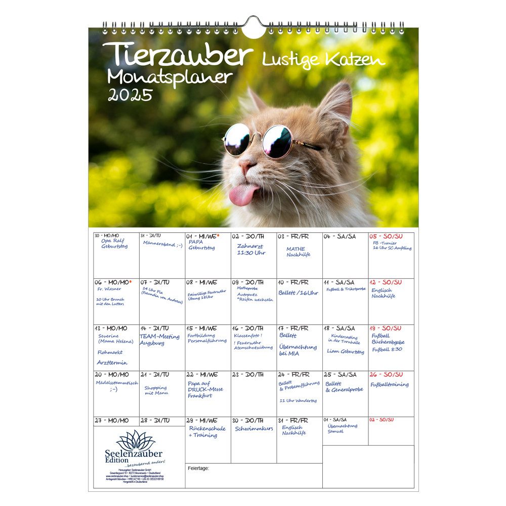Seelenzauber Wandkalender Tierzauber lustige Katzen Wand Planer Kalender für 2025 DIN A3