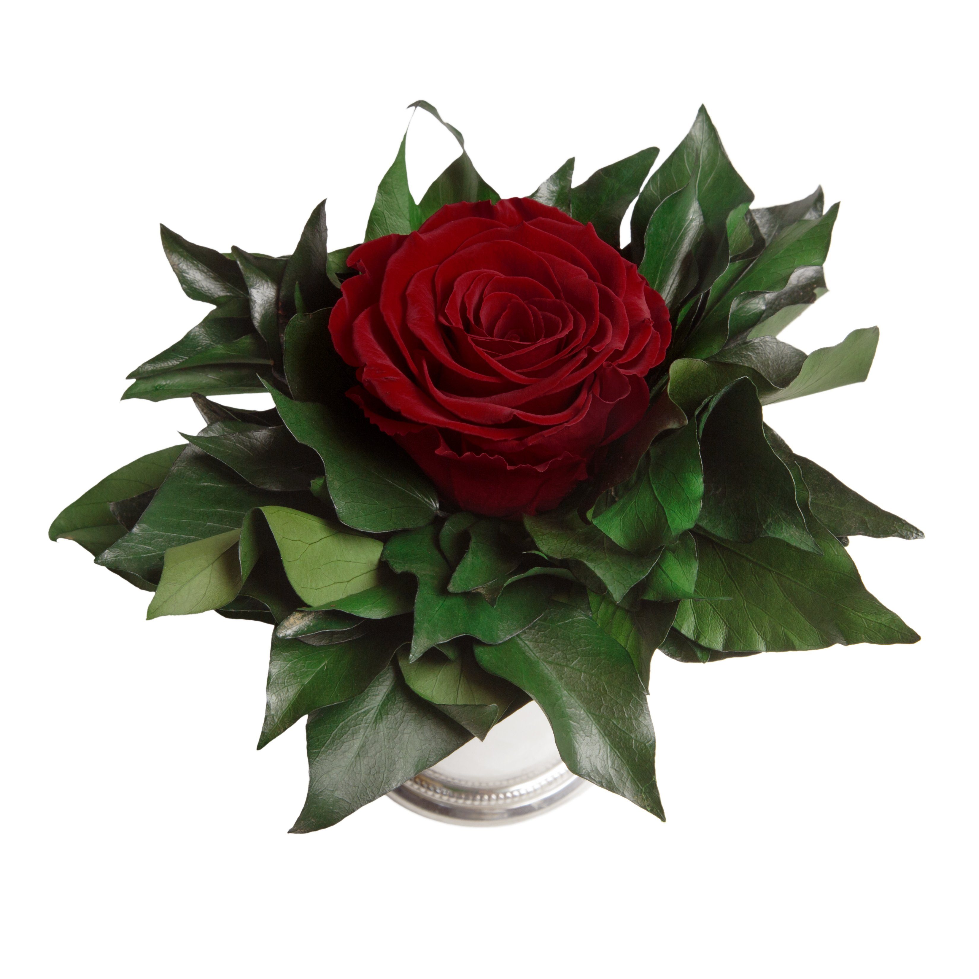 ROSEMARIE Rose, lange Zimmerpflanze Echte Becher haltbar Geschenkidee 1 Infinity Rose Frauen silberfarben Künstliche Burgundy cm, für Heidelberg, 12 SCHULZ Höhe Blume