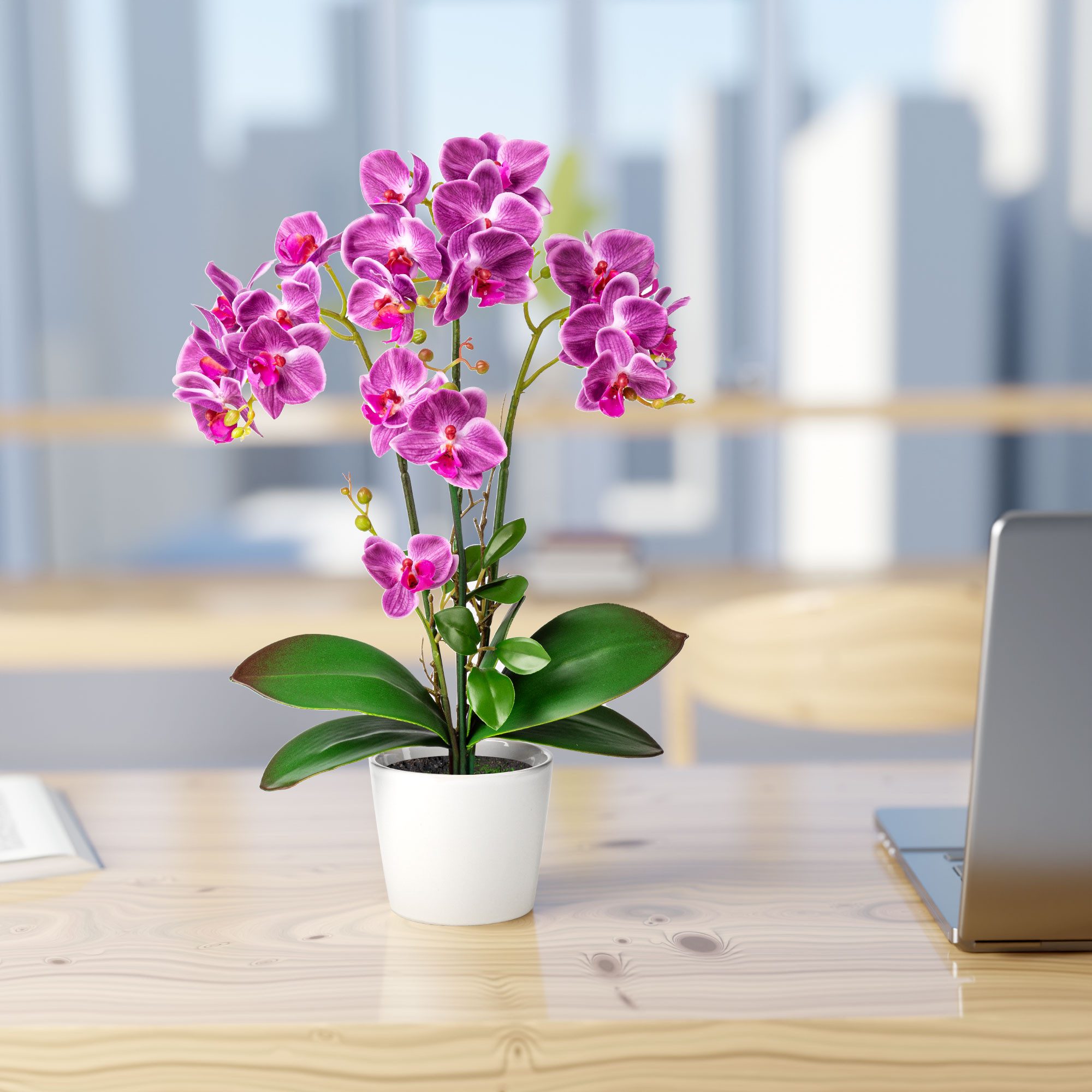 Kunstorchidee PASCH® Orchidee künstlich wie echt (46cm) in Hochglanz-Keramiktopf Orchidee, PASCH, Real Touch