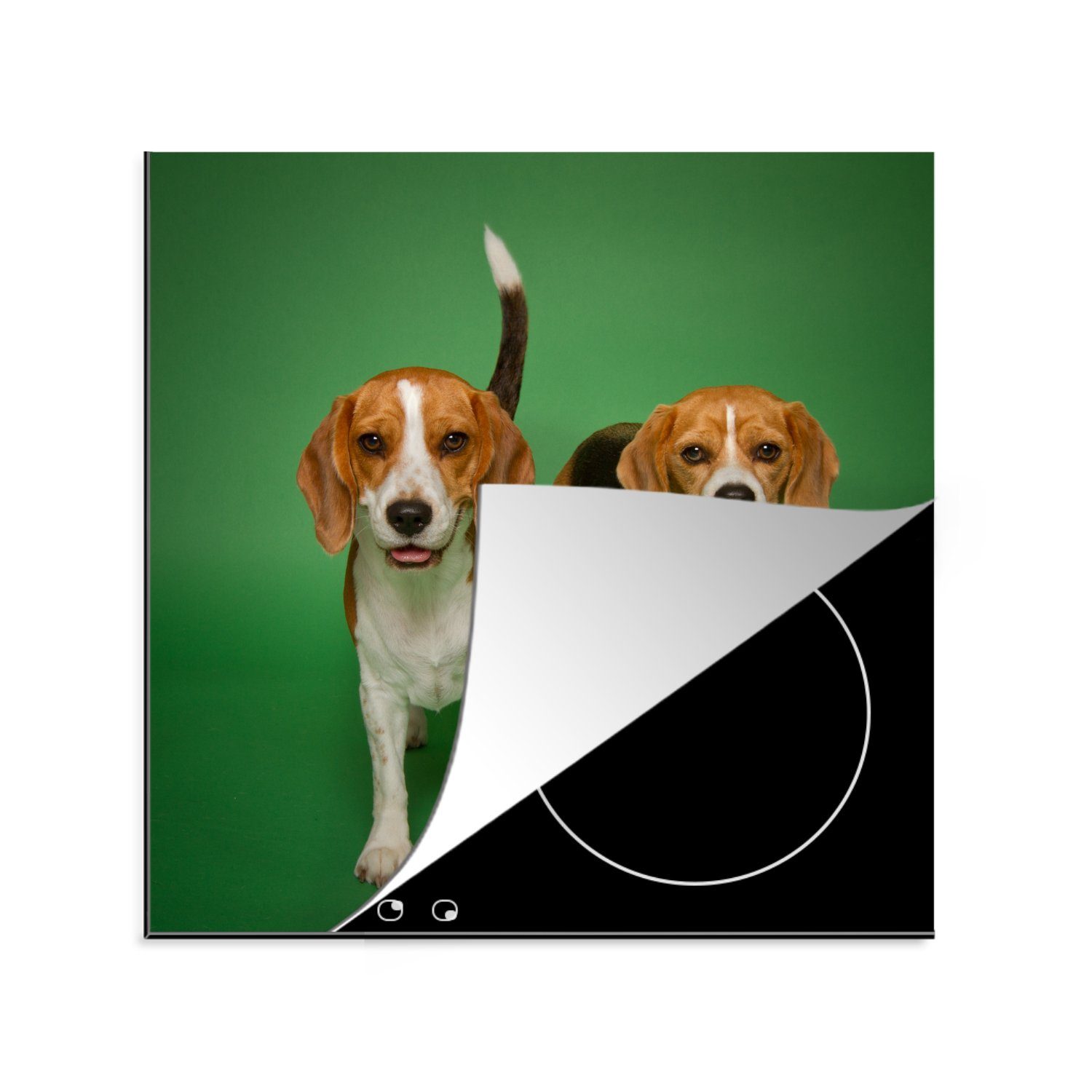 MuchoWow Herdblende-/Abdeckplatte Zwei schöne Beagles auf grünem Hintergrund, Vinyl, (1 tlg), 78x78 cm, Ceranfeldabdeckung, Arbeitsplatte für küche