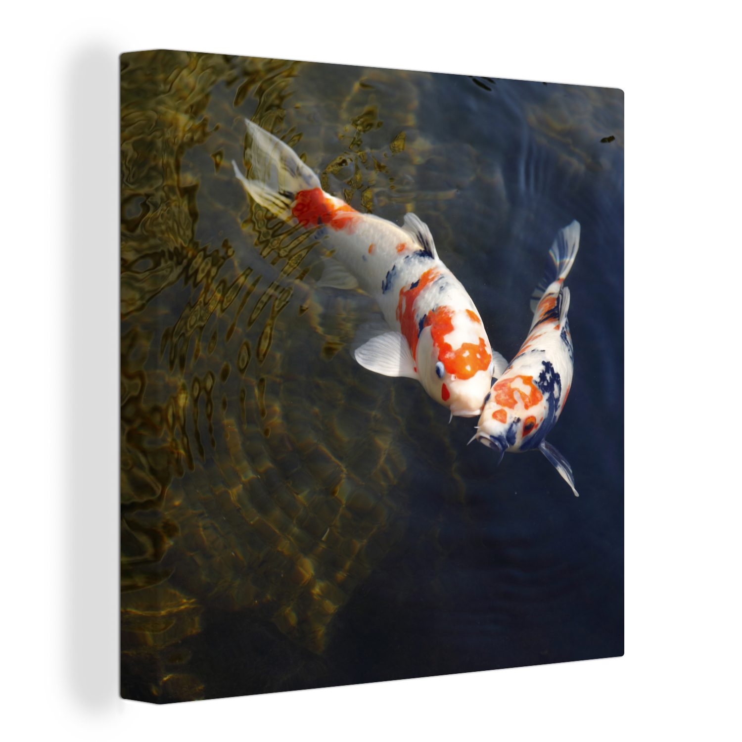 OneMillionCanvasses® Leinwandbild Zwei Koi-Karpfen im Wasser, (1 St), Leinwand Bilder für Wohnzimmer Schlafzimmer