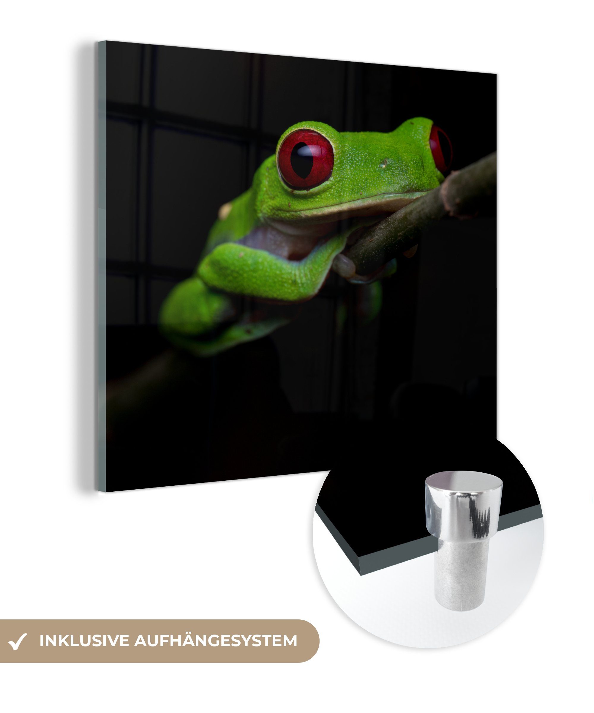 MuchoWow Acrylglasbild Rotäugiger Quecksilberfrosch auf schwarzem Hintergrund, (1 St), Glasbilder - Bilder auf Glas Wandbild - Foto auf Glas - Wanddekoration