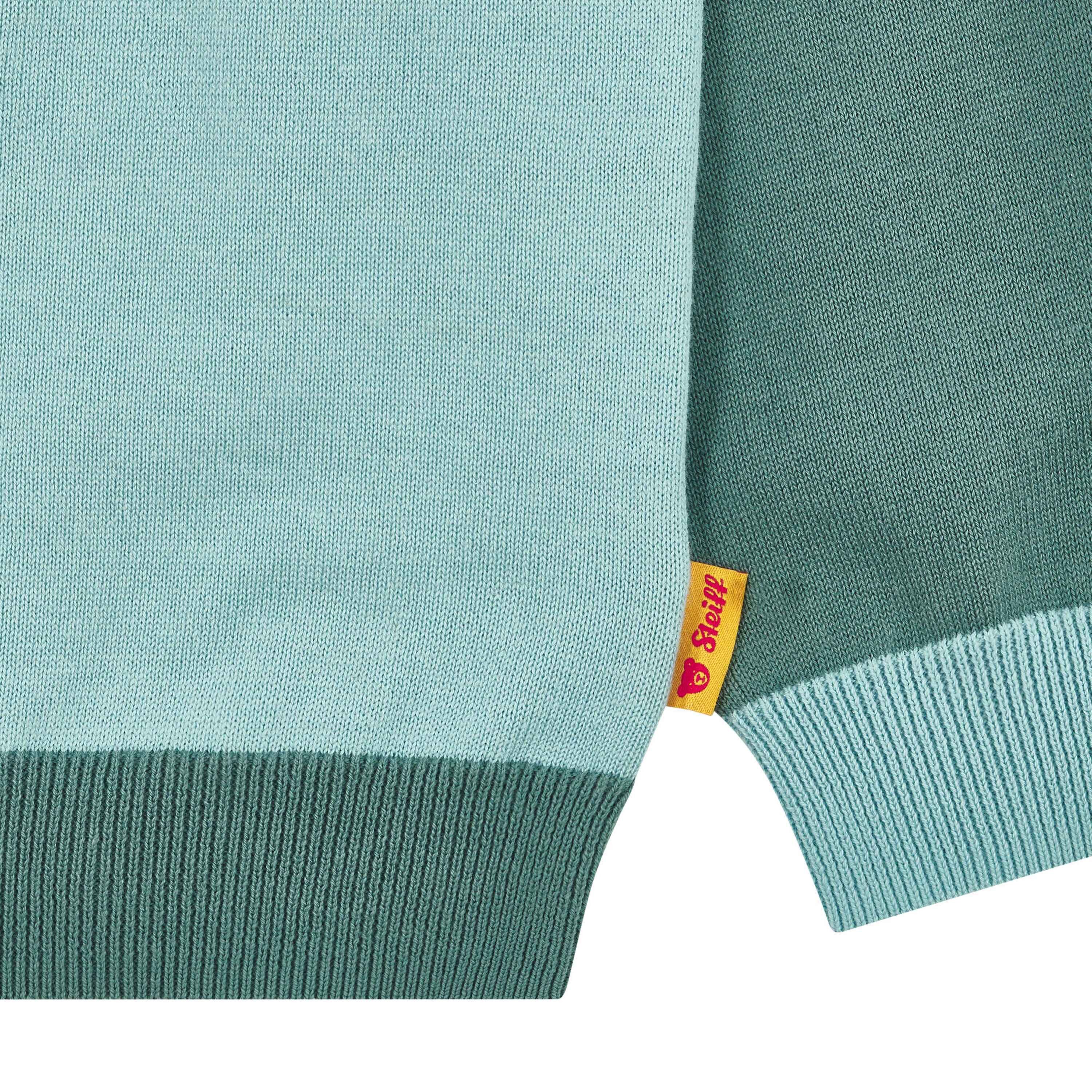 Steiff Rundhalspullover Pullover Dinosaur