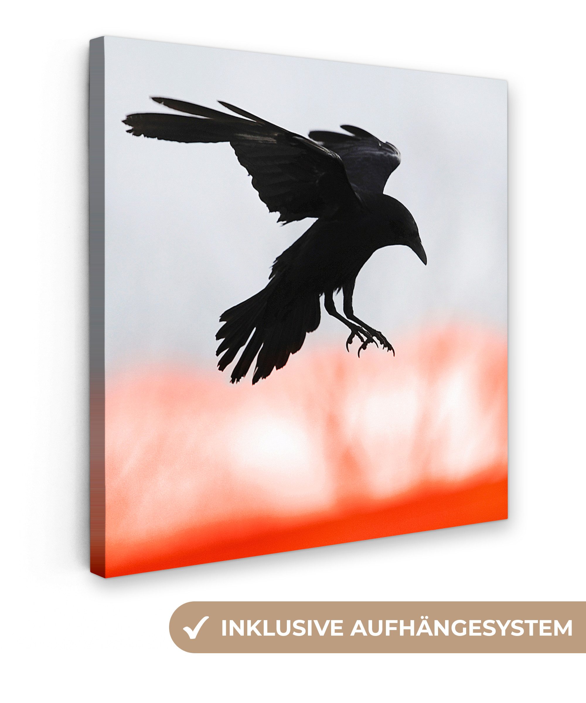 OneMillionCanvasses® Leinwandbild Vogel - Krähe - Rot, Fotodruck (1 St), Wandbild, Deko Schlafzimmer Wohnzimmer Flur 20x20 cm