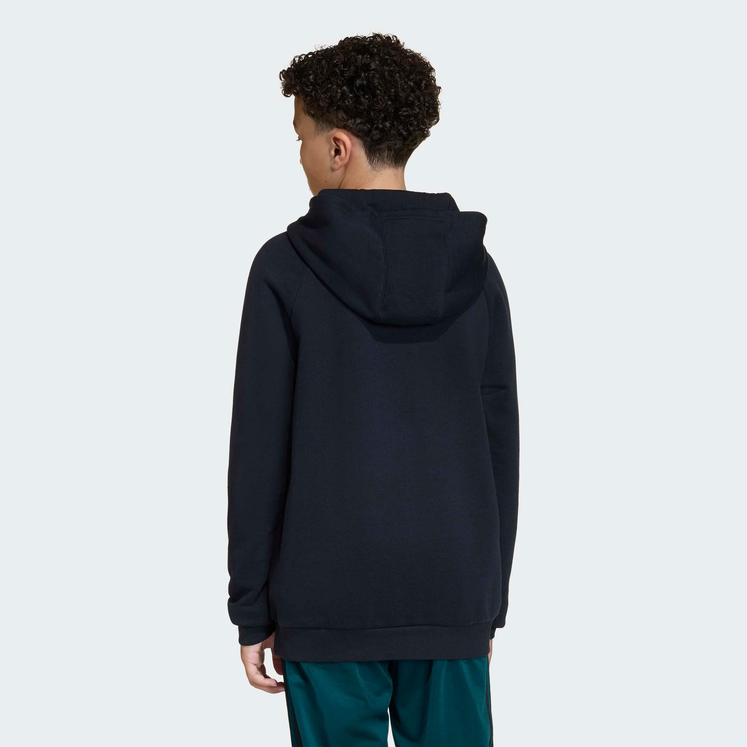 adidas Originals Kapuzensweatshirt GFX TR LO HO