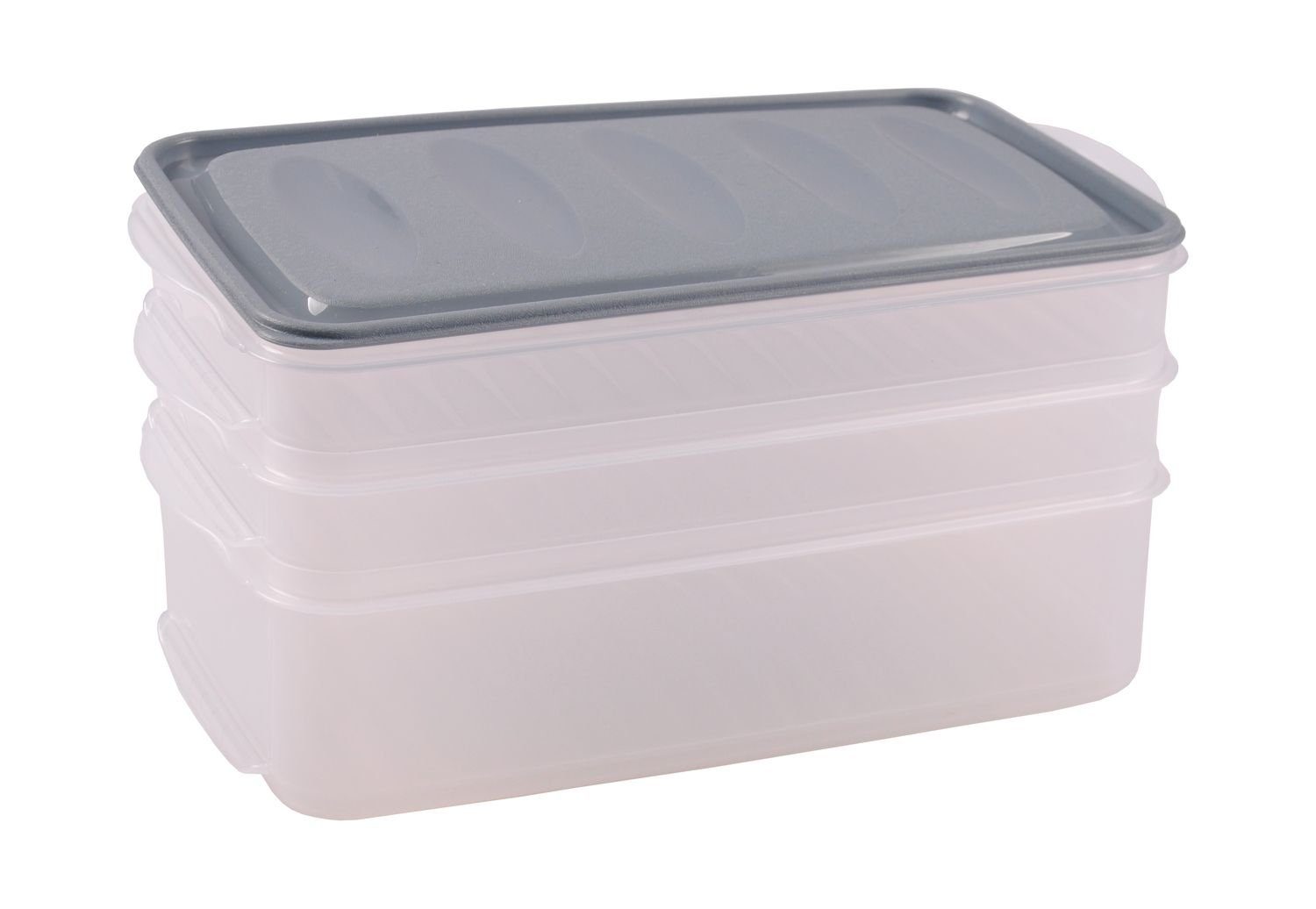 Jelenia Plast Vorratsdose Aufschnittdosen-Set Aufschnittbox Frischhaltedose Kunststoff grau Kühlschrankdose Vorr