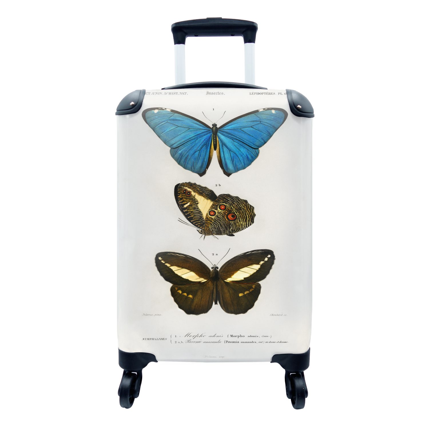 MuchoWow Handgepäckkoffer Schmetterling Trolley, - Insekten, für Handgepäck Ferien, 4 Reisekoffer Vintage Rollen, rollen, mit - Reisetasche