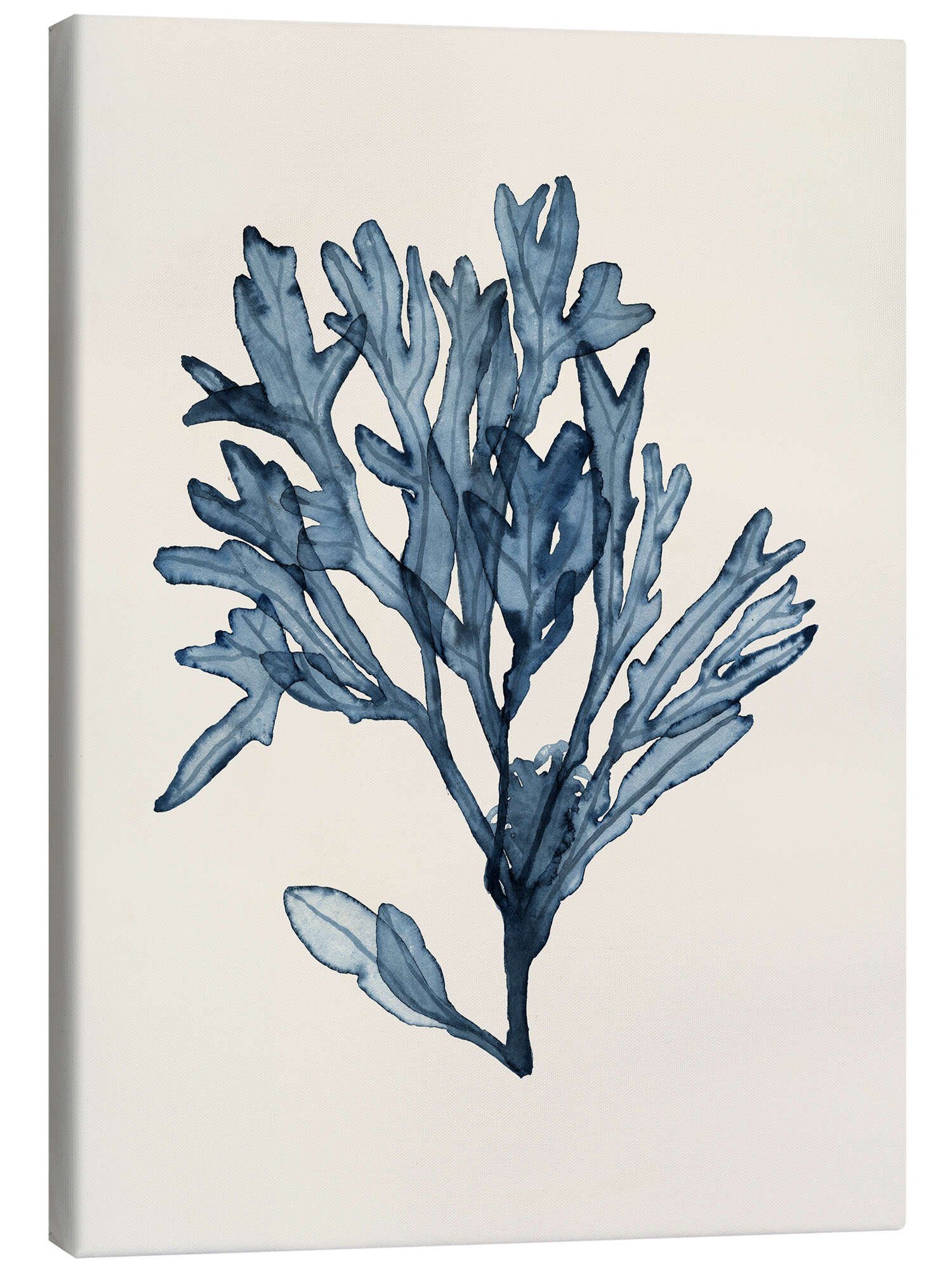 Leinwandbild Naomi McCavitt