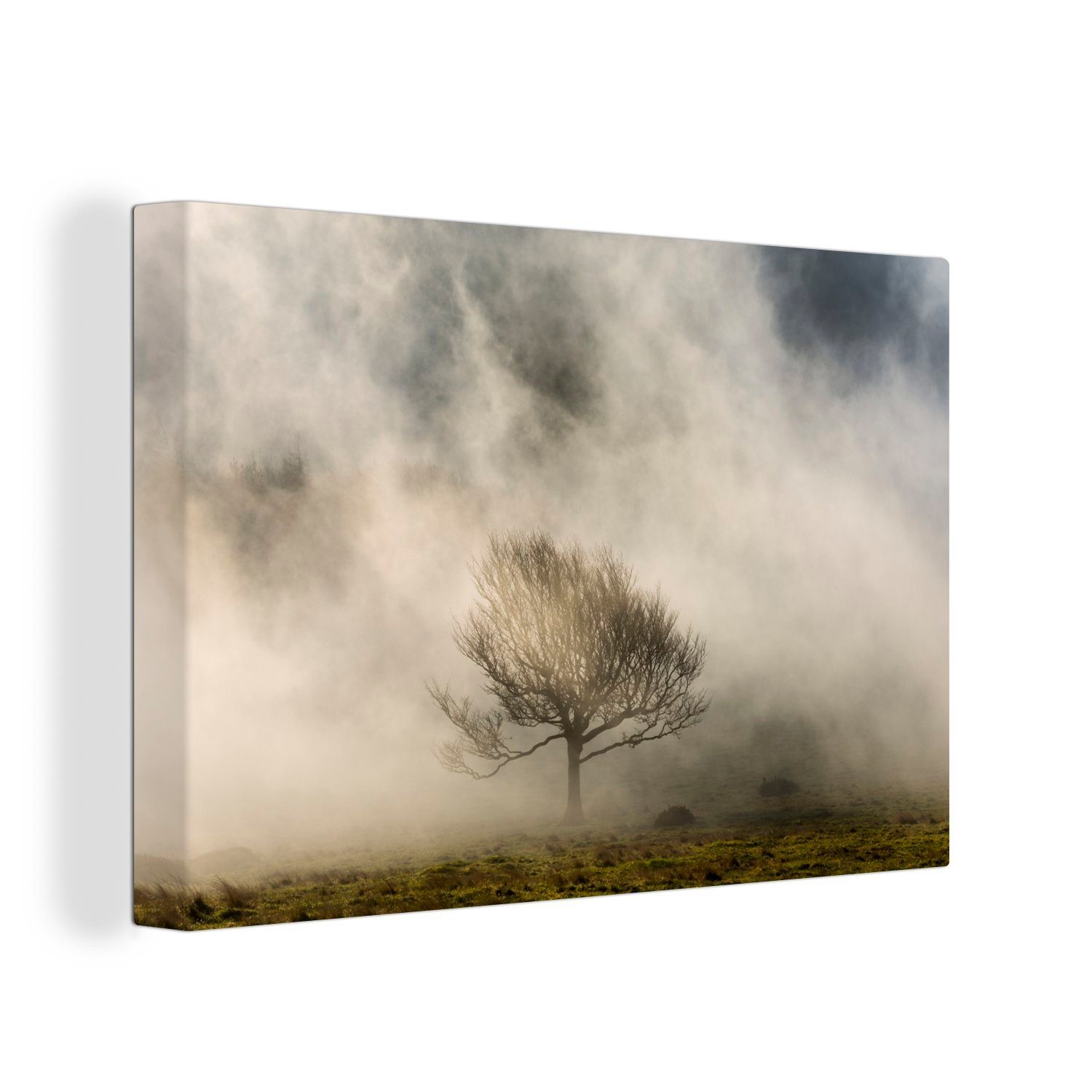 OneMillionCanvasses® Leinwandbild Einfacher Baum im Nebel, (1 St), Wandbild Leinwandbilder, Aufhängefertig, Wanddeko, 30x20 cm