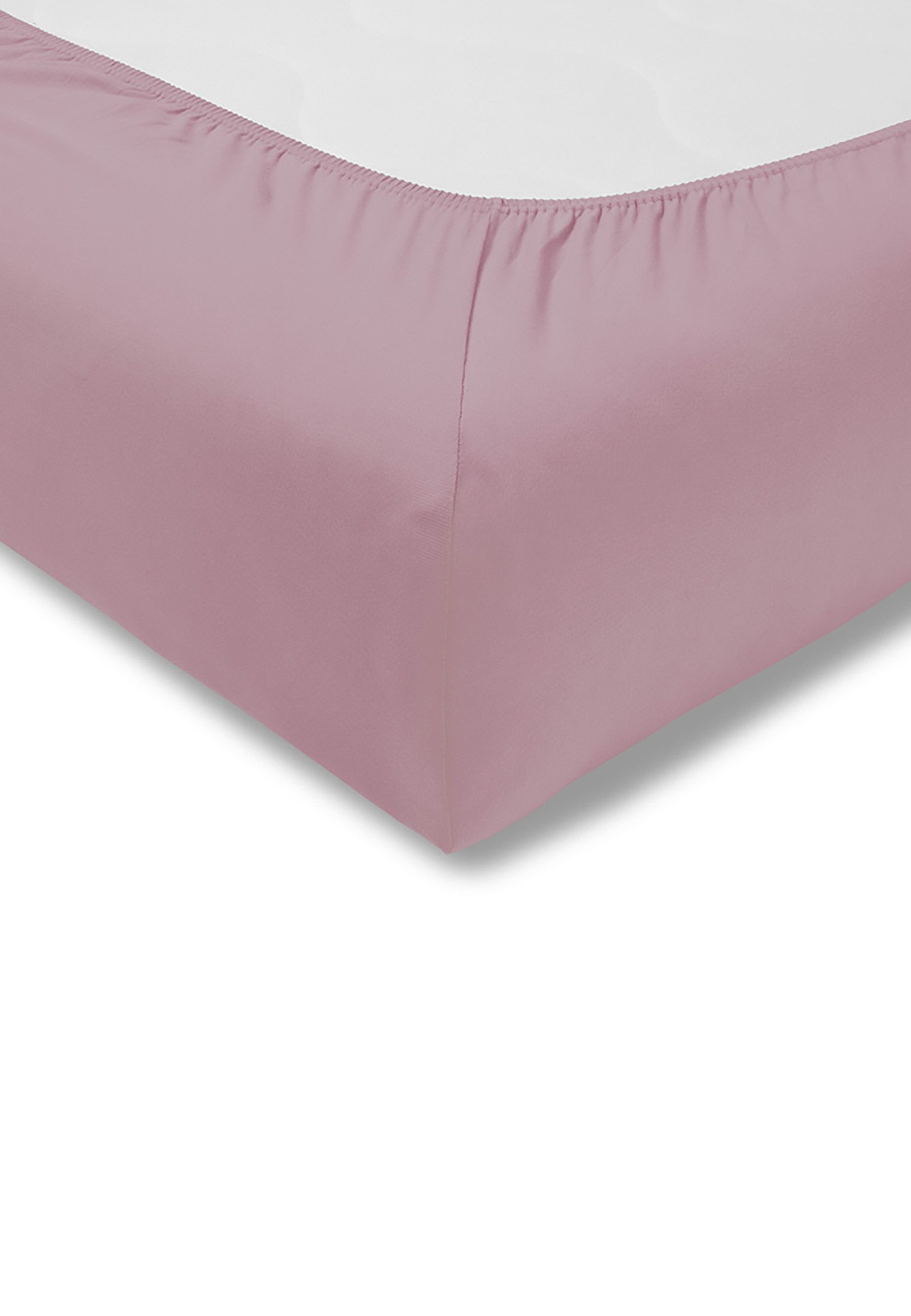 Estella Spannbettlaken Spannbetttuch Feinjersey, Jersey, Gummizug: günstig online kaufen