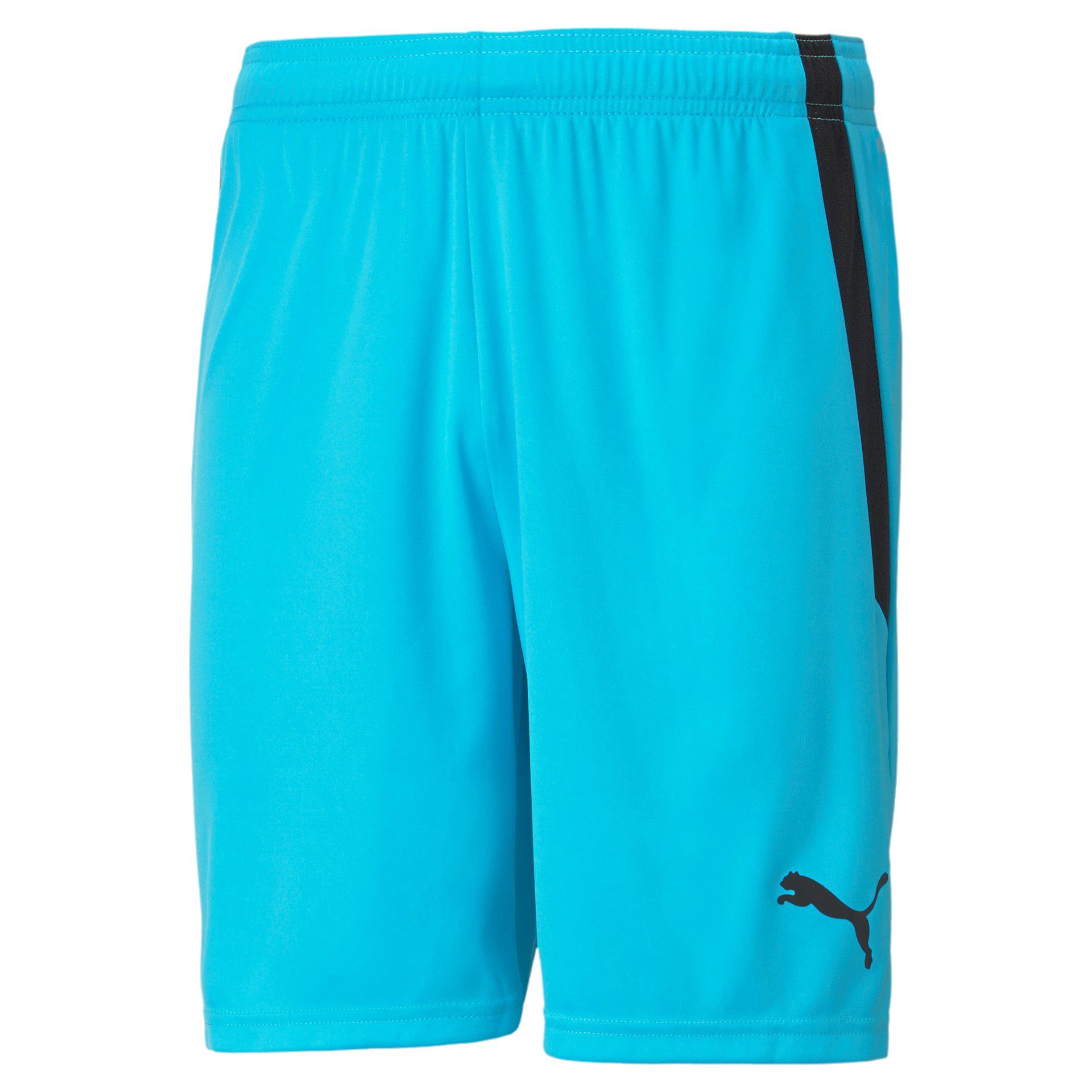 PUMA Sporthose teamLIGA Shorts kurz hellblau Herren günstig online kaufen