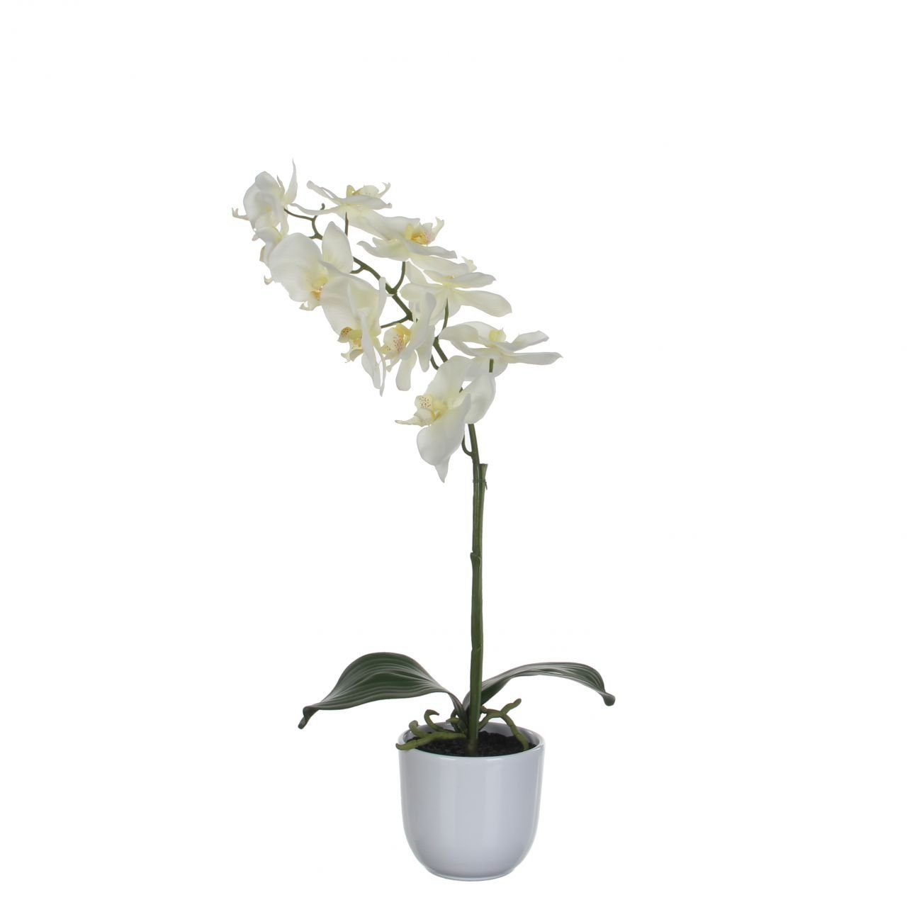 Kunstpflanze Mica Kunstpflanze Phalaenopsis im Topf weiß, 60 x, Mica Decorations