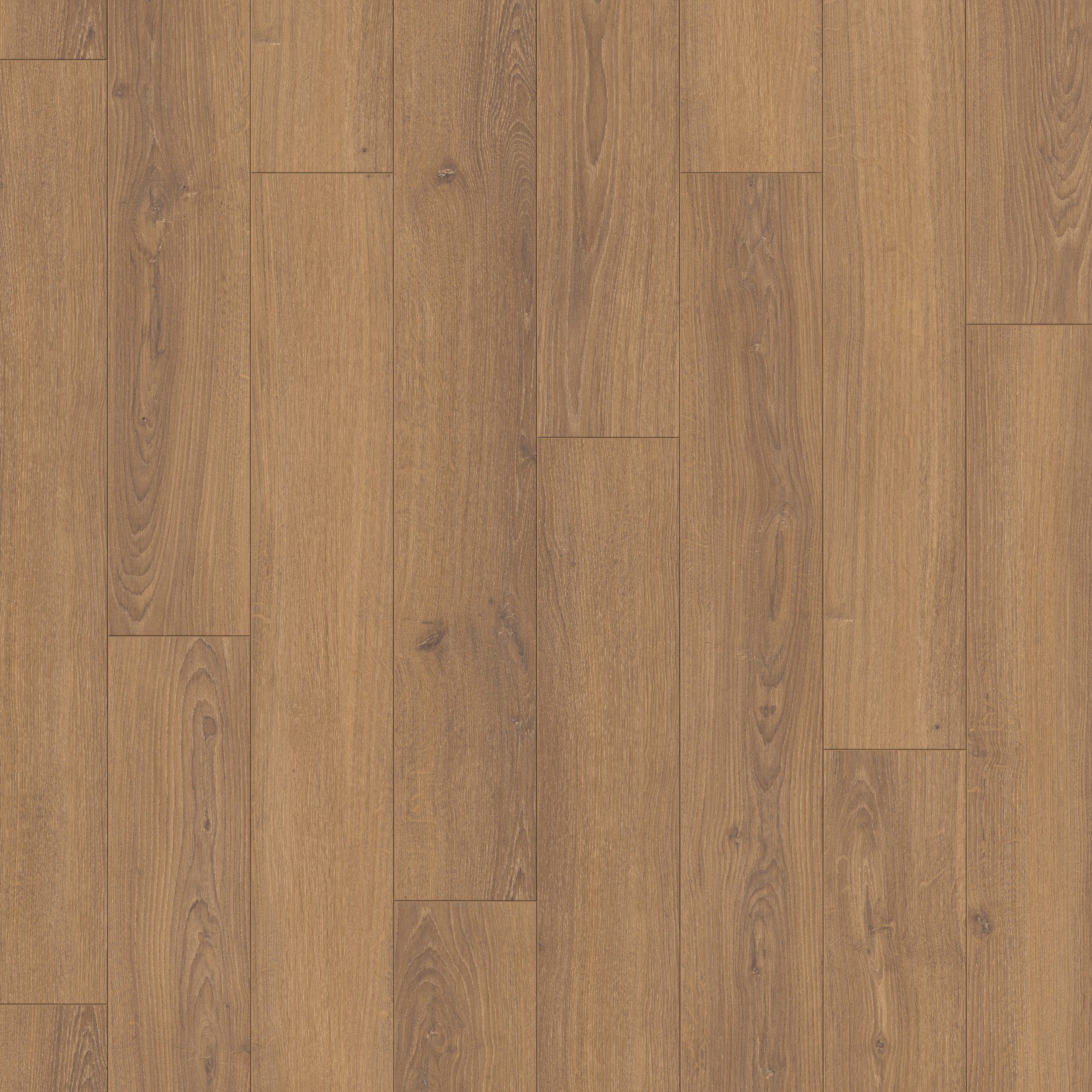 PARADOR Laminat Classic 1050 Eiche Studioline honig, 10 St., Klicklaminat 2,493m² (10 Dielen) pro Karton, Eiche