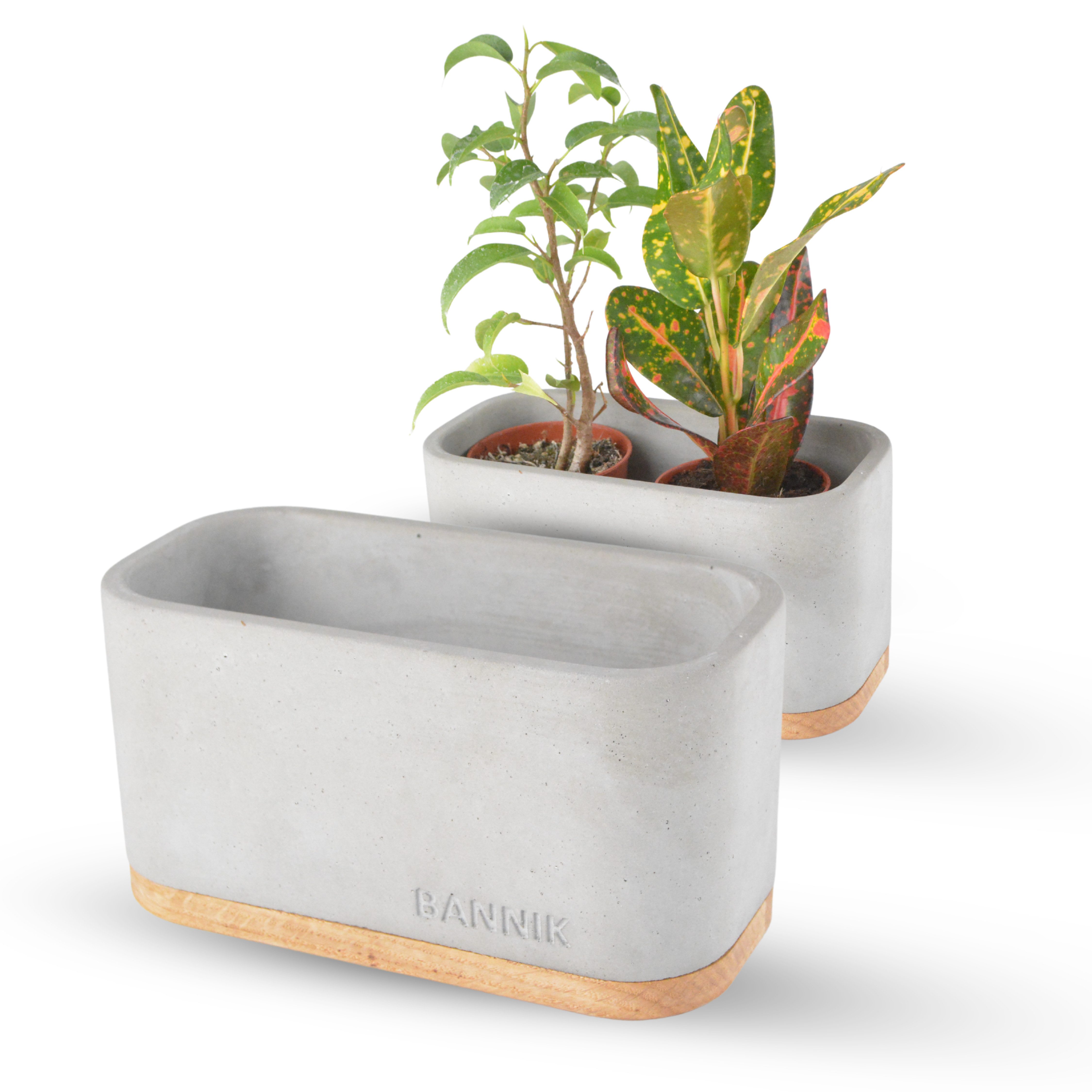 Bannik Blumentopf aus Beton - Unikat günstig online kaufen