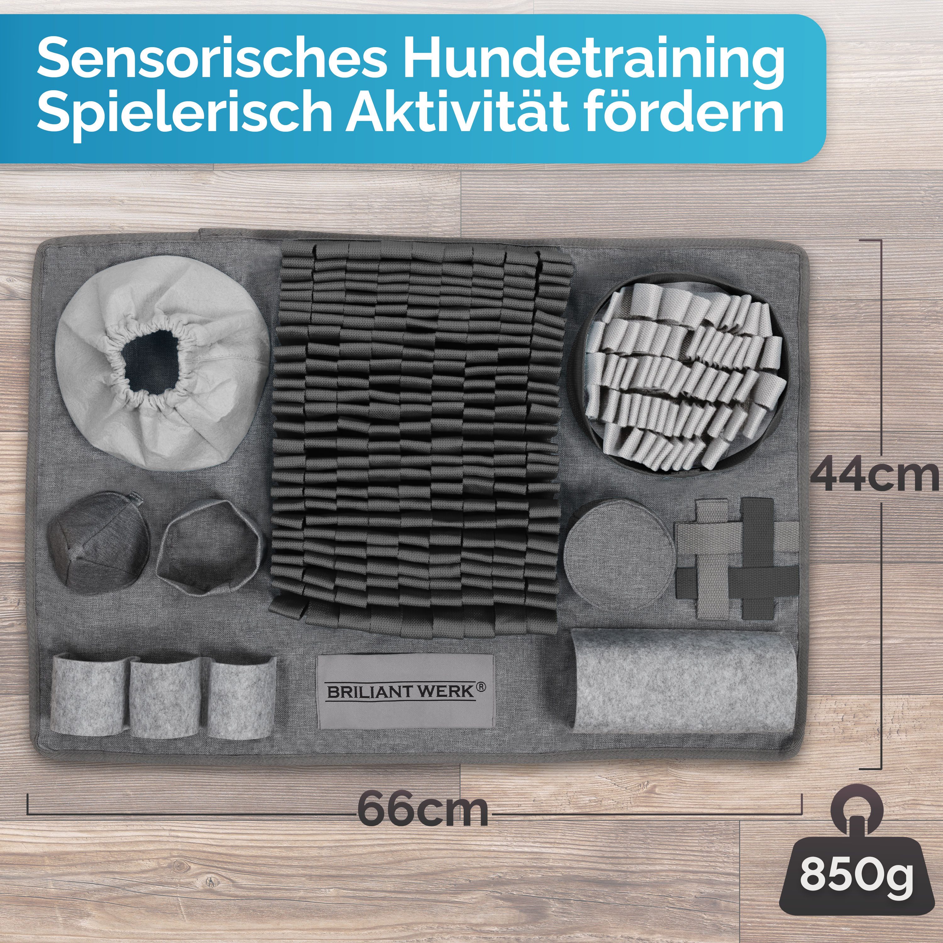 Briliantwerk Schnüffelteppich für Hunde – Extrem widerstandsfähiges Materia günstig online kaufen