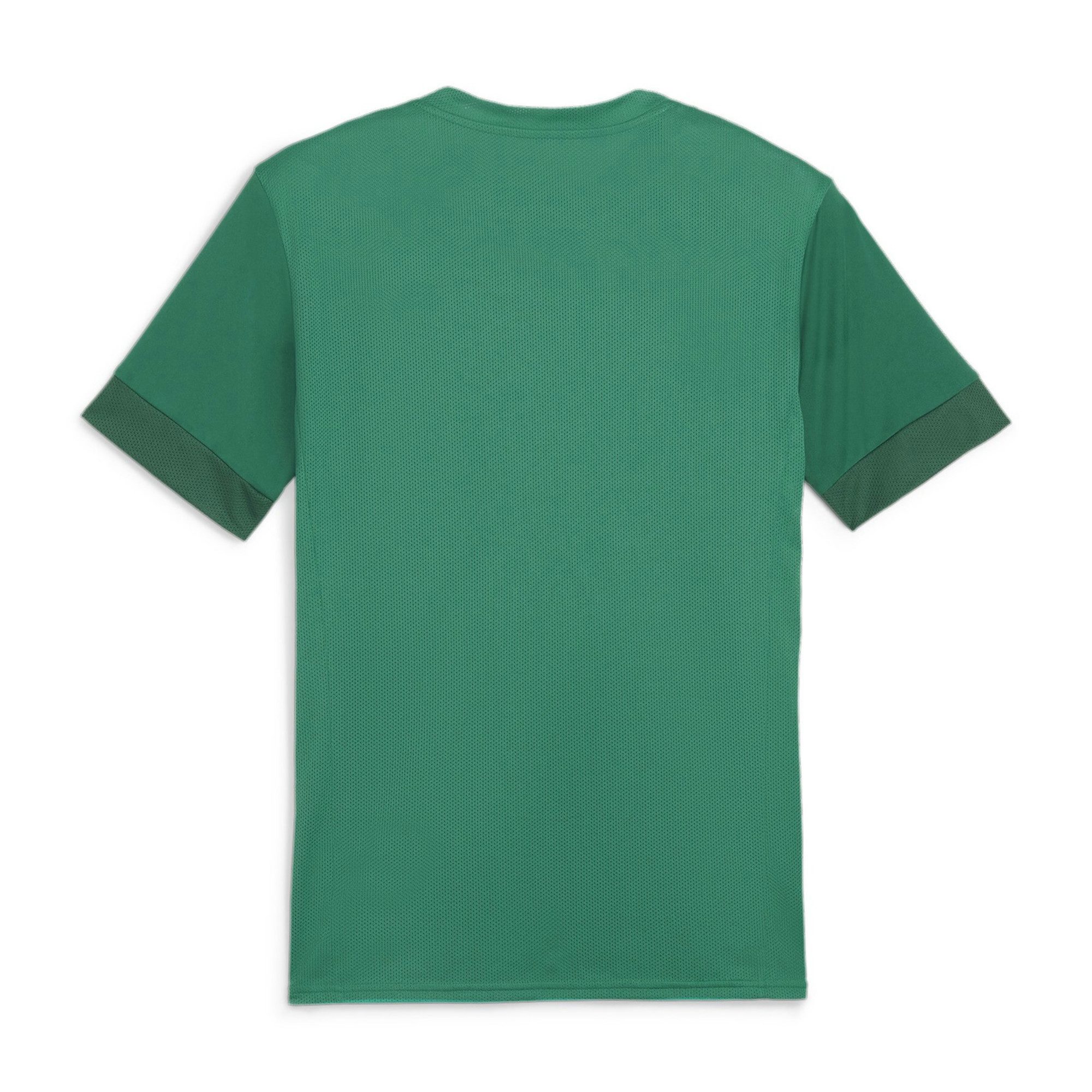 PUMA Fußballtrikot Puma Herren Trikot teamGOAL Matchday Jersey 705747