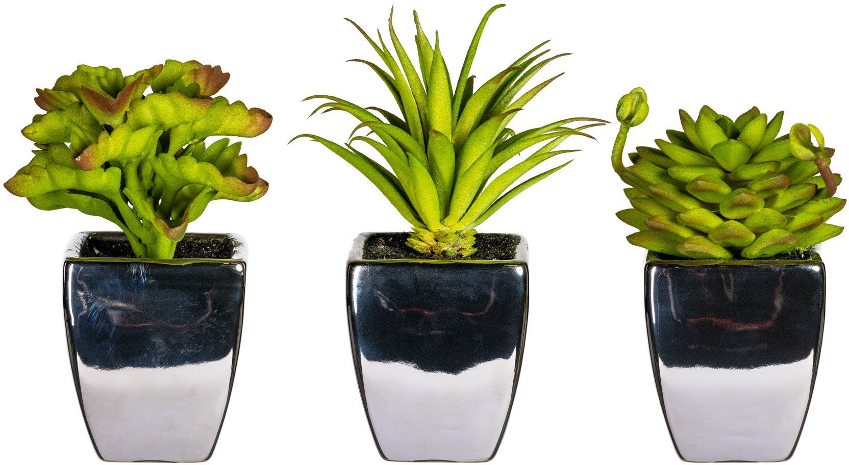 Kunstpflanze Loreen Sukkulente, OTTO home, Höhe 13 cm, im Topf, 3er Set