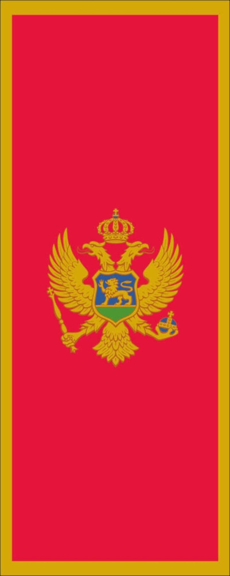 Flagge Flagge 110 Montenegro g/m² flaggenmeer Hochformat