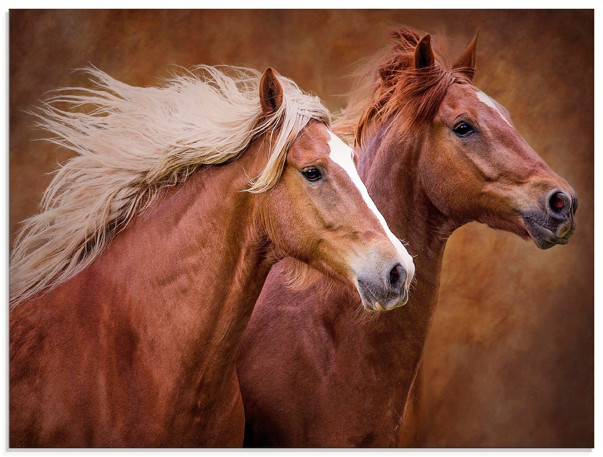 Rabatt Artland Glasbild Reinrassige Pferde verschiedenen I, Größen St), (1 in Haustiere