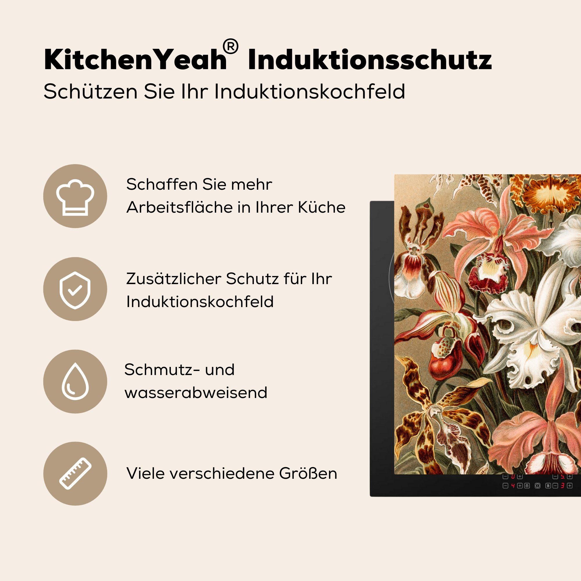 Orchidee Haeckel, für Vinyl, Herdblende-/Abdeckplatte Ceranfeldabdeckung, küche Ernst Arbeitsplatte tlg), (1 - cm, 78x78 MuchoWow