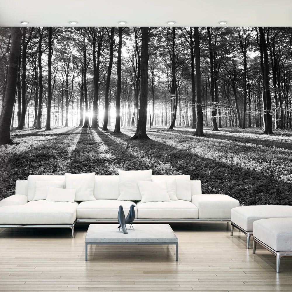 Basera® Fototapete Waldmotiv c-B-0127-x-c, selbstklebend, mit UV-Schutz
