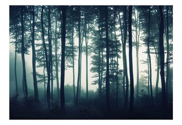 KUNSTLOFT Vliestapete Forest - Wald Nebel 1x0.7 m, halb-matt, lichtbeständige Design Tapete