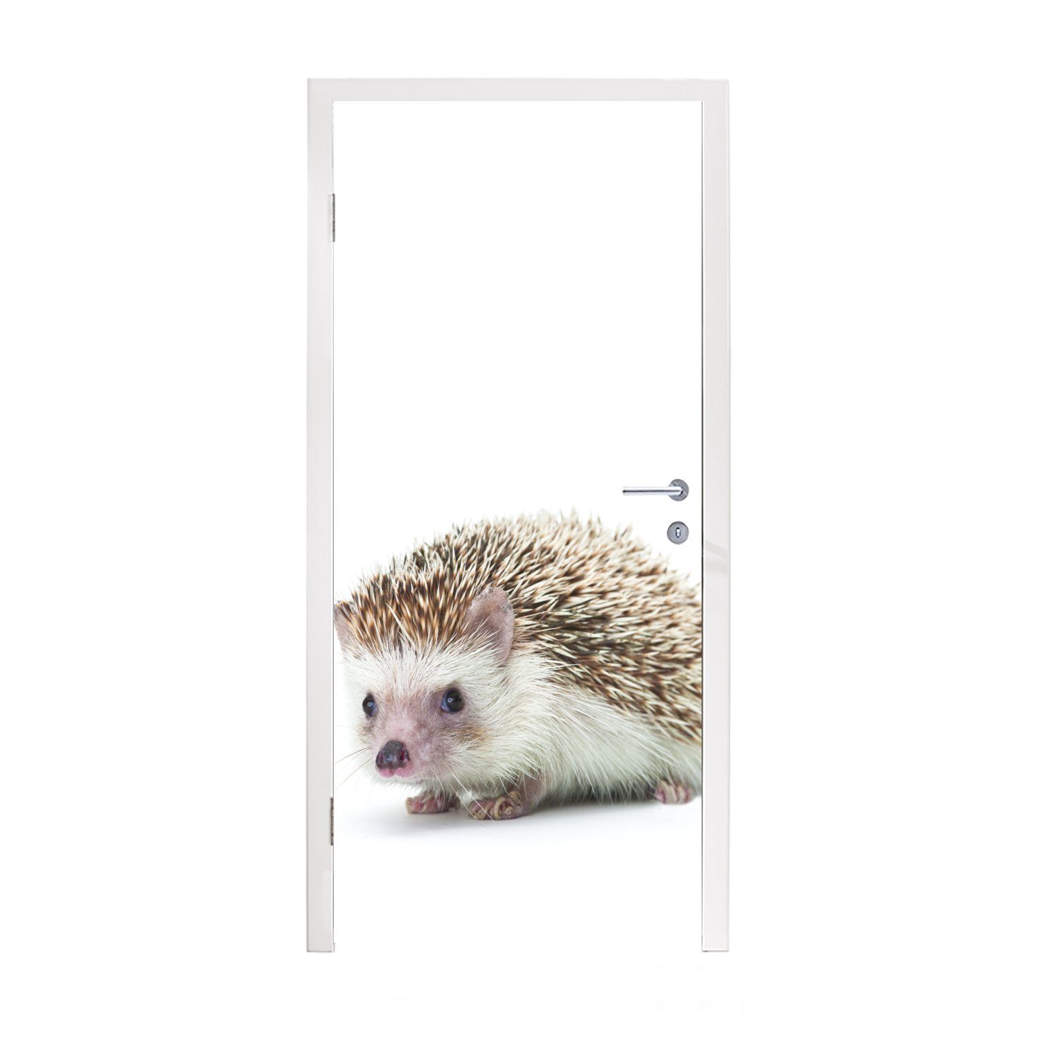 MuchoWow Türtapete Igel - Tiere - Weiß, Matt, bedruckt, (1 St), Fototapete für Tür, Türaufkleber, 75x205 cm