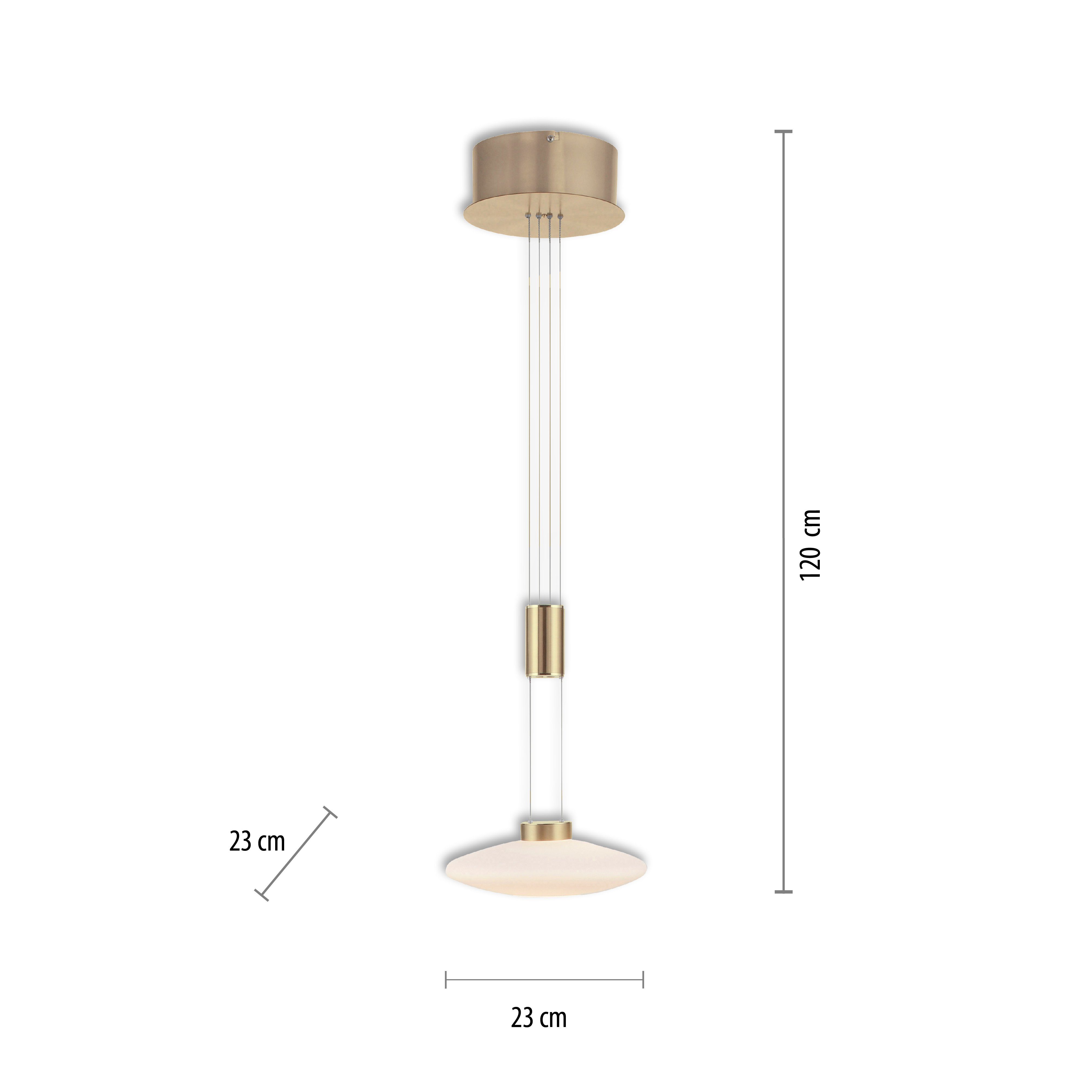 integriert, vom Warmweiß, Simply Memory, LED, Netz dimmbar, LAUTADA, Trennung nach Dim, LED Paul fest Pendelleuchte Neuhaus