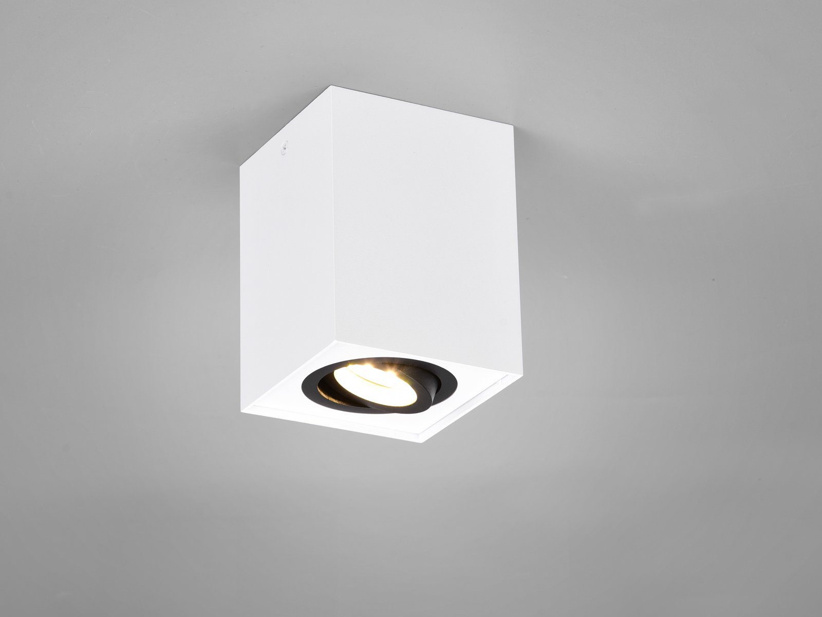TRIO Leuchten LED Deckenstrahler, Dimmfunktion, LED wechselbar, Warmweiß, kleiner Aufbau-Spot Aufputz Strahler innen, Treppenhaus, Weiß-Schwarz