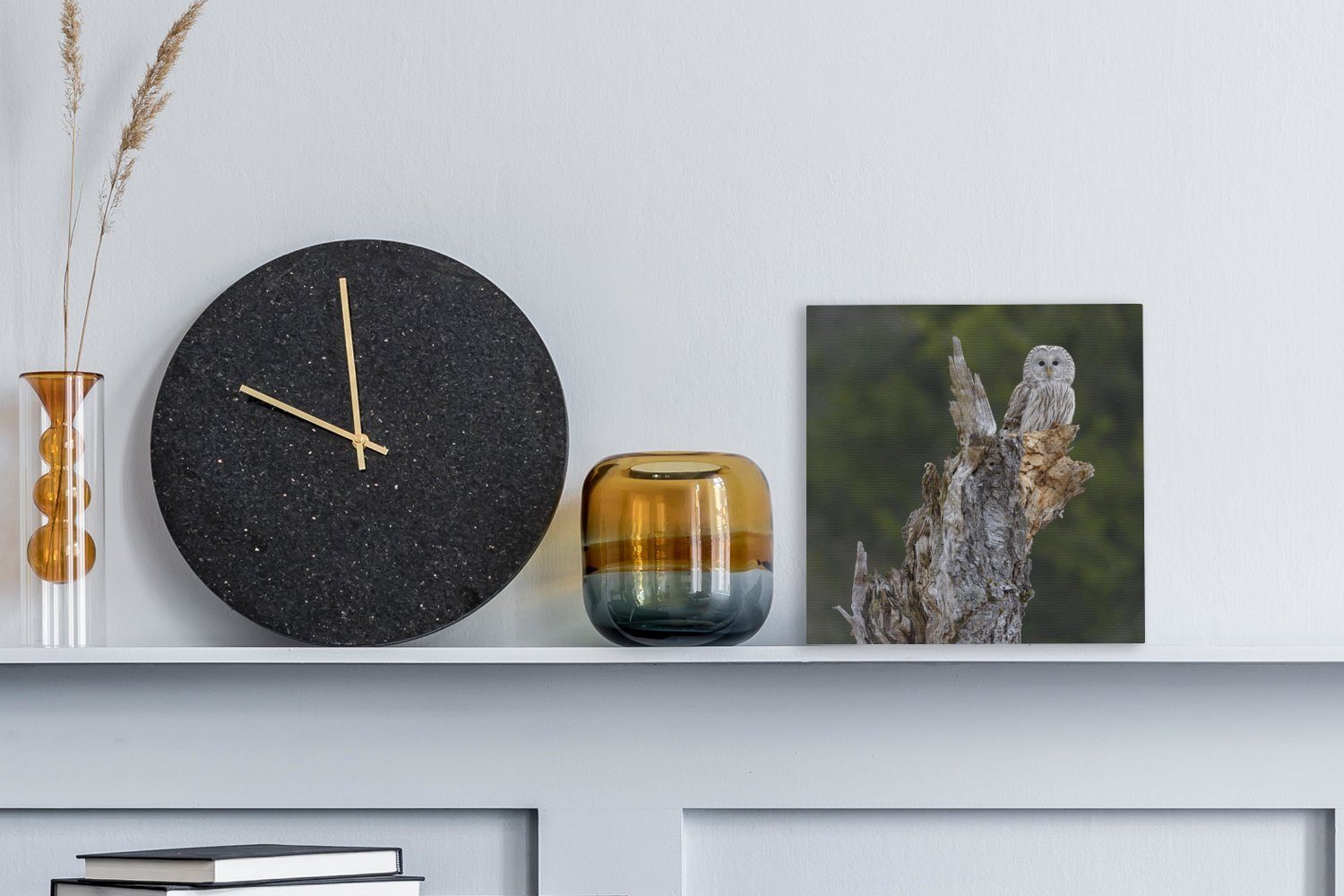 OneMillionCanvasses® Leinwandbild Steinkauz auf einem Baumstamm, Bilder alten (1 St), für Leinwand Wohnzimmer Schlafzimmer