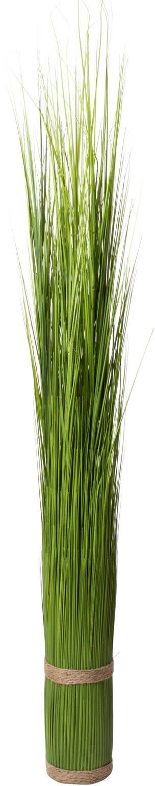 Kunstgras Grasarrangement selbststehend Gras, Botanic-Haus, Höhe 145 cm günstig online kaufen