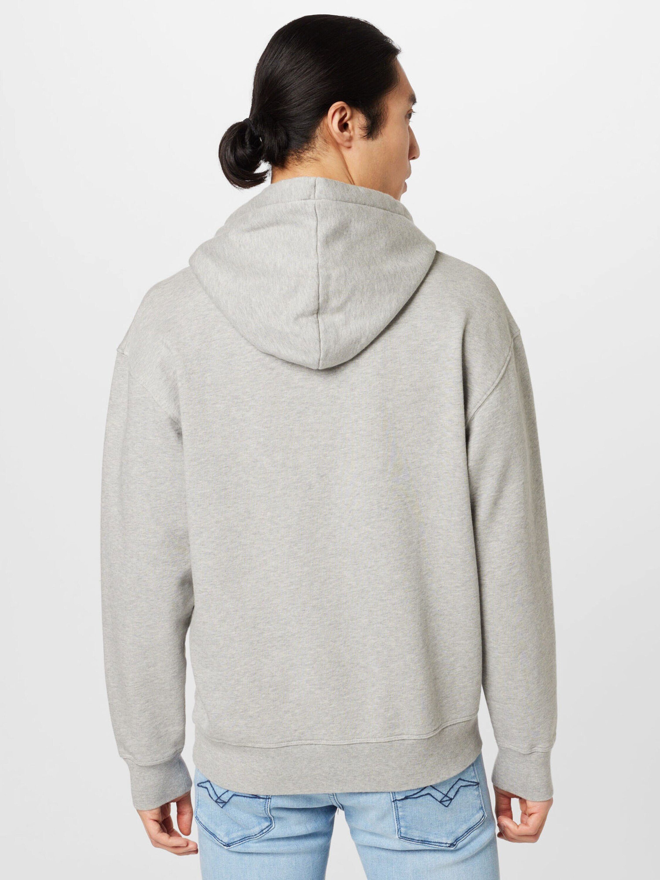Replay Sweatshirt (1-tlg) Grau