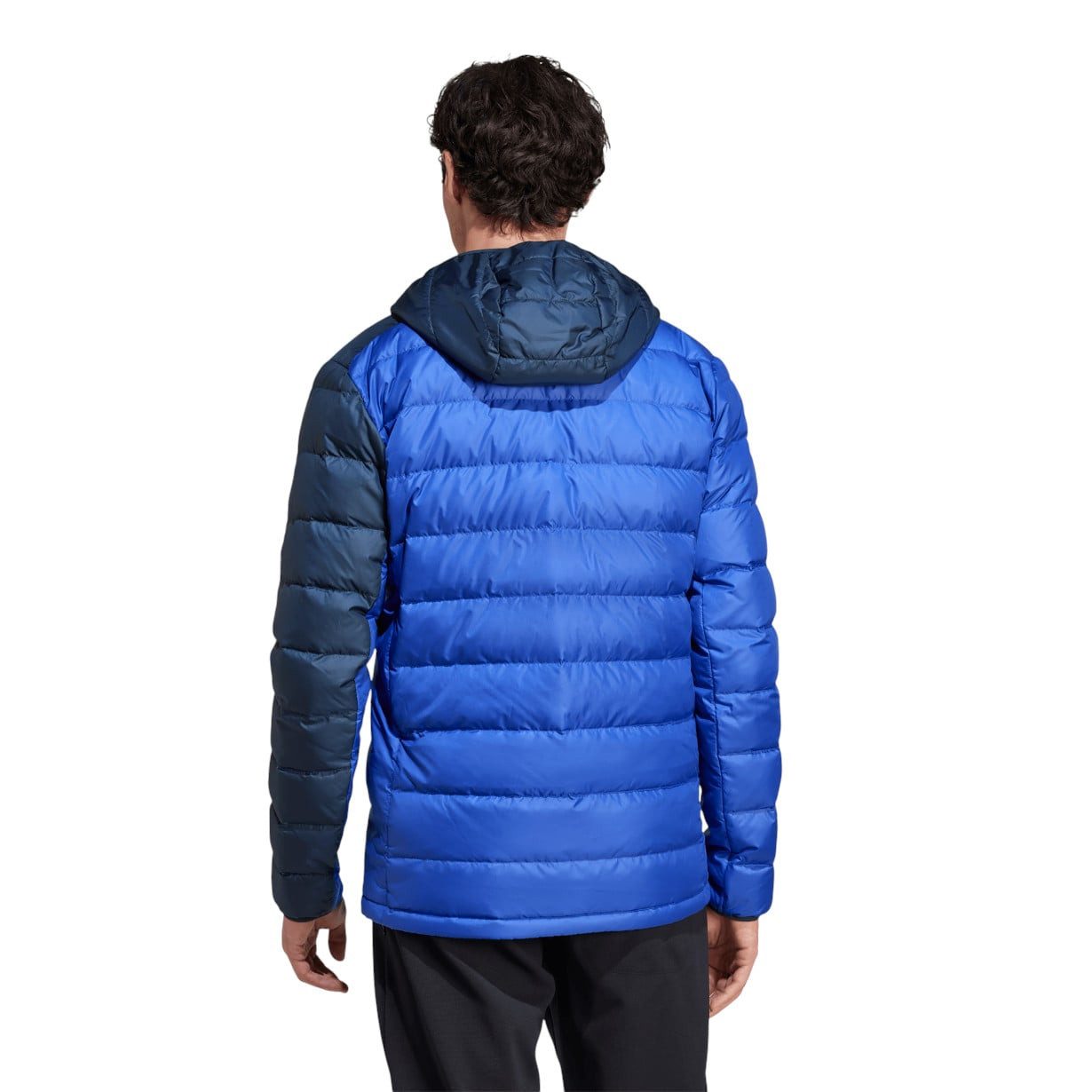 adidas Performance Winterjacke Daunenjacke Terrex Multi Light Hooded (warm, wasserabweisend)