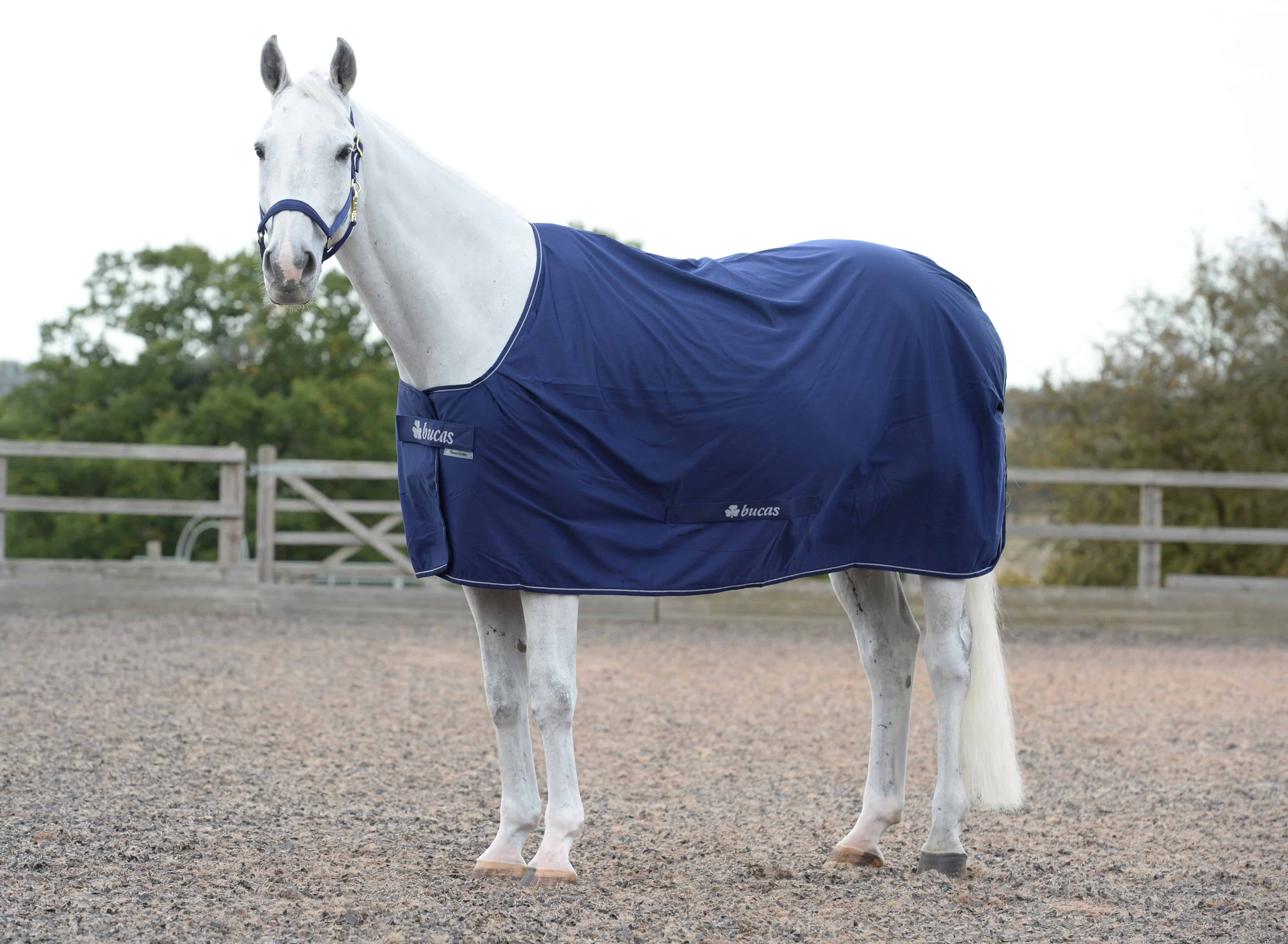 Bucas Pferde-Stalldecke Multifunktionsdecke Power Cooler in Navy/Silver
