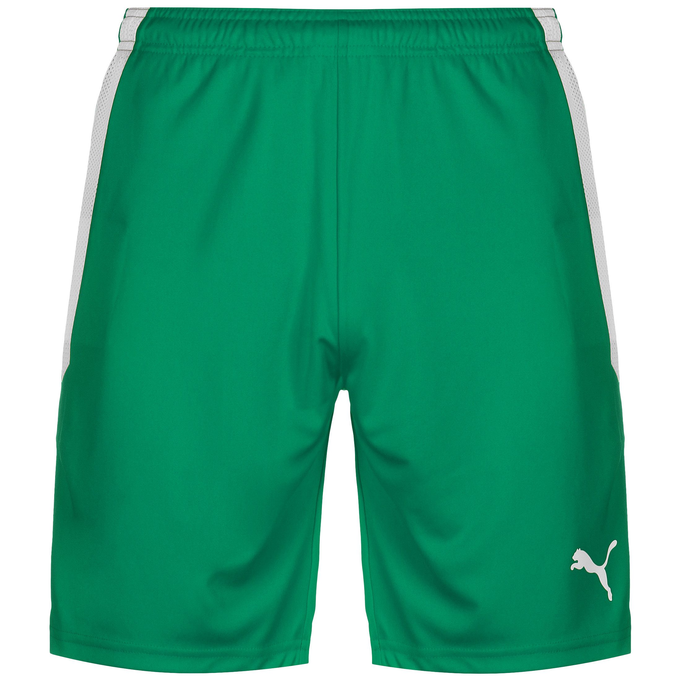 PUMA Trainingsshorts TeamLIGA Trainingsshorts Herren