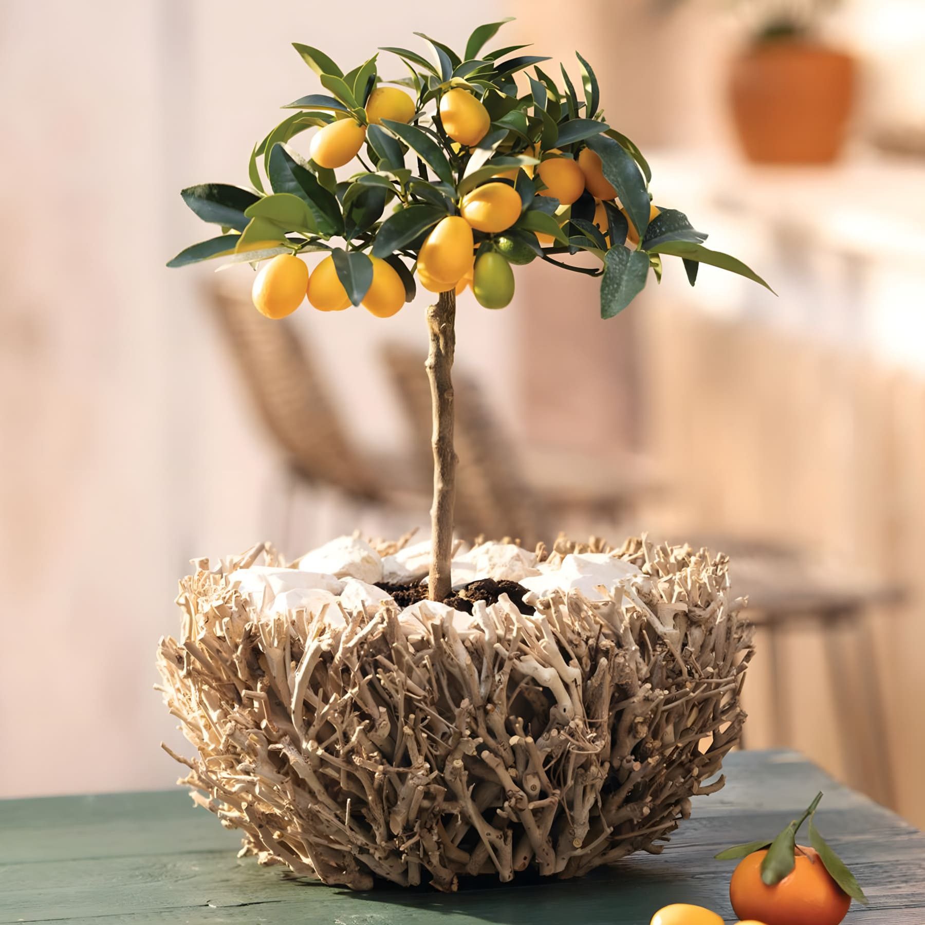 Dekoleidenschaft Pflanzschale "Verzweigt" rund, Ø 34 cm, Pflanztopf, Blumenkübel Übertopf Blumentopf, Blumenschale aus Holz