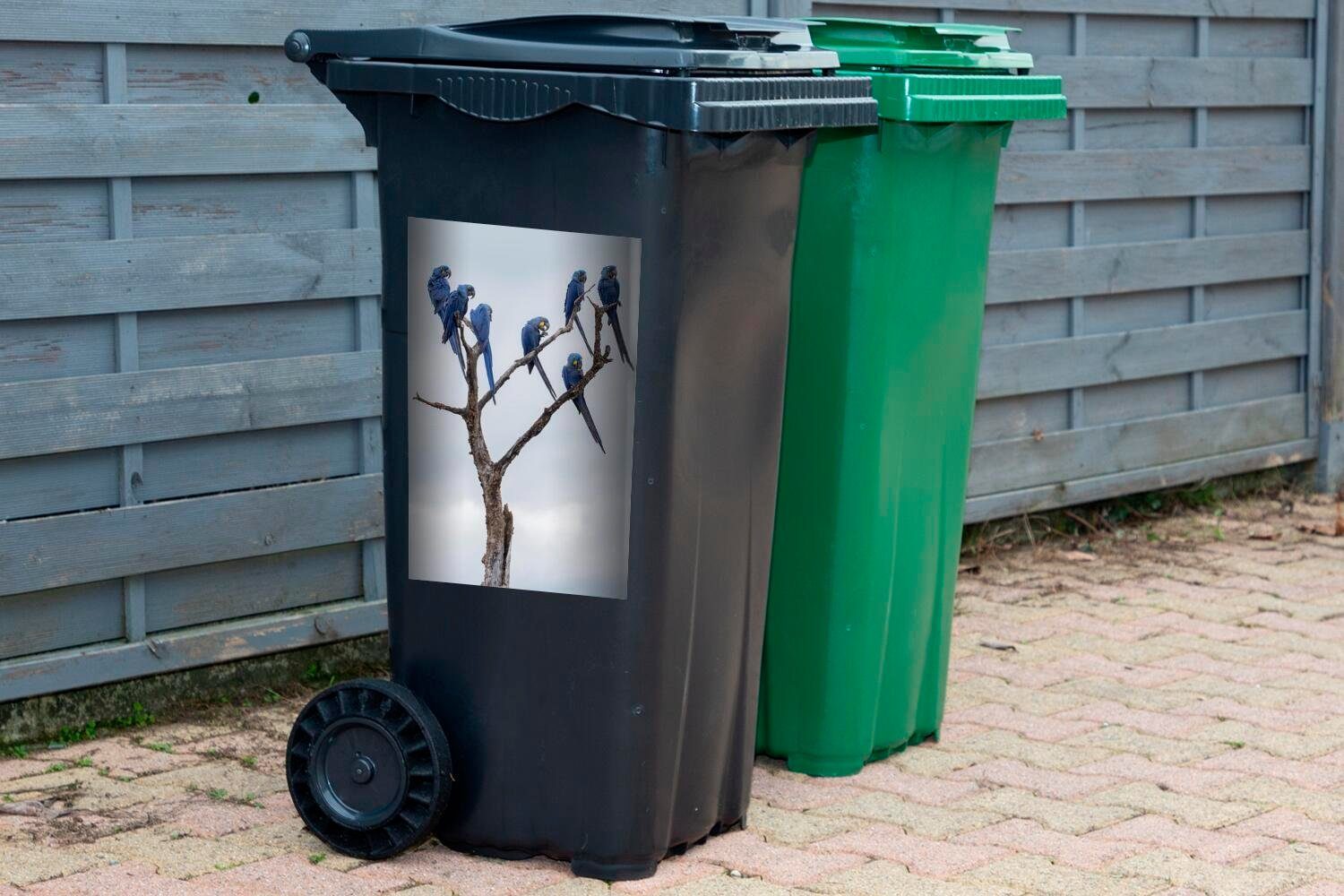 Hyazintharas St), Mülltonne, (1 Sticker, Wandsticker Mülleimer-aufkleber, Container, dem Abfalbehälter Baum auf MuchoWow