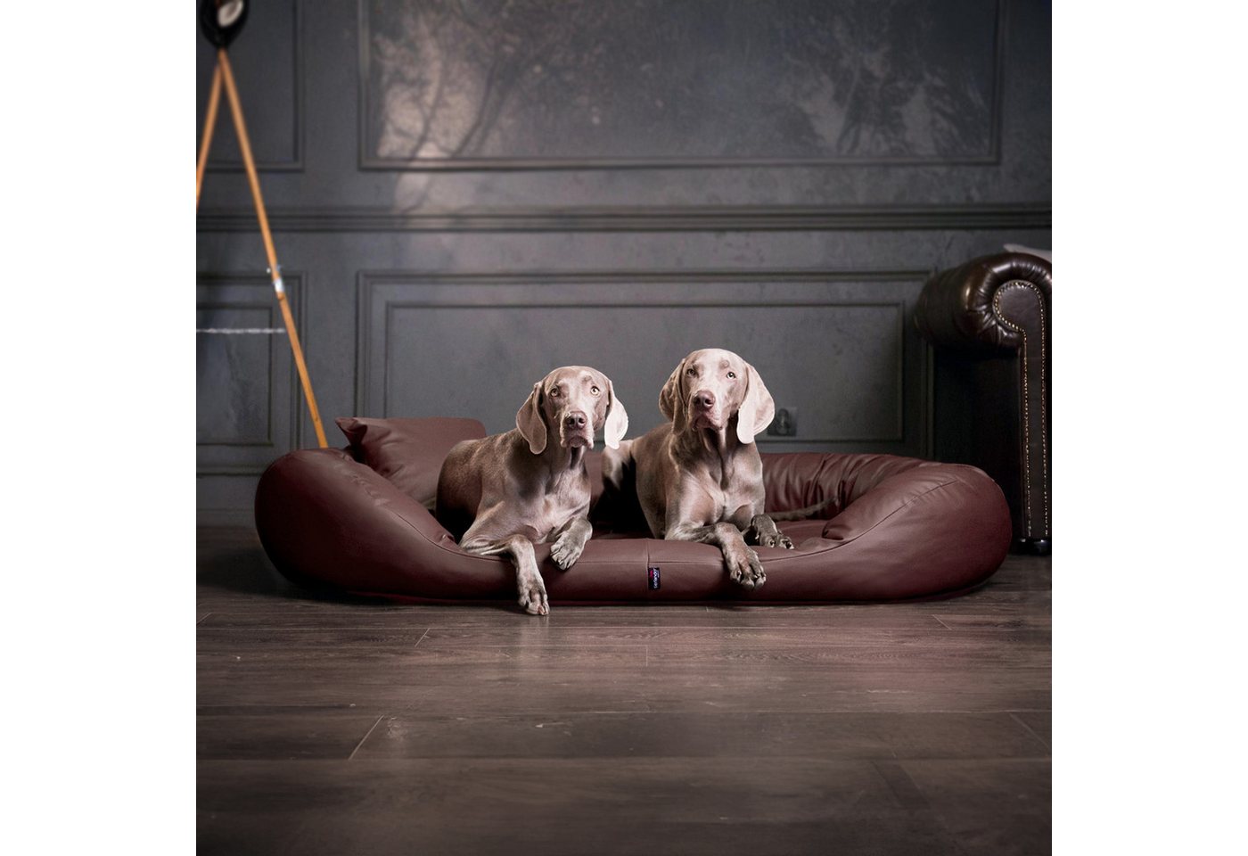 Thumbnail - tierlando® Tierbett SAMMY EASY CLEAN Orthopädisches Hundebett, Abwischbar, Haar resistent, ergonomisch