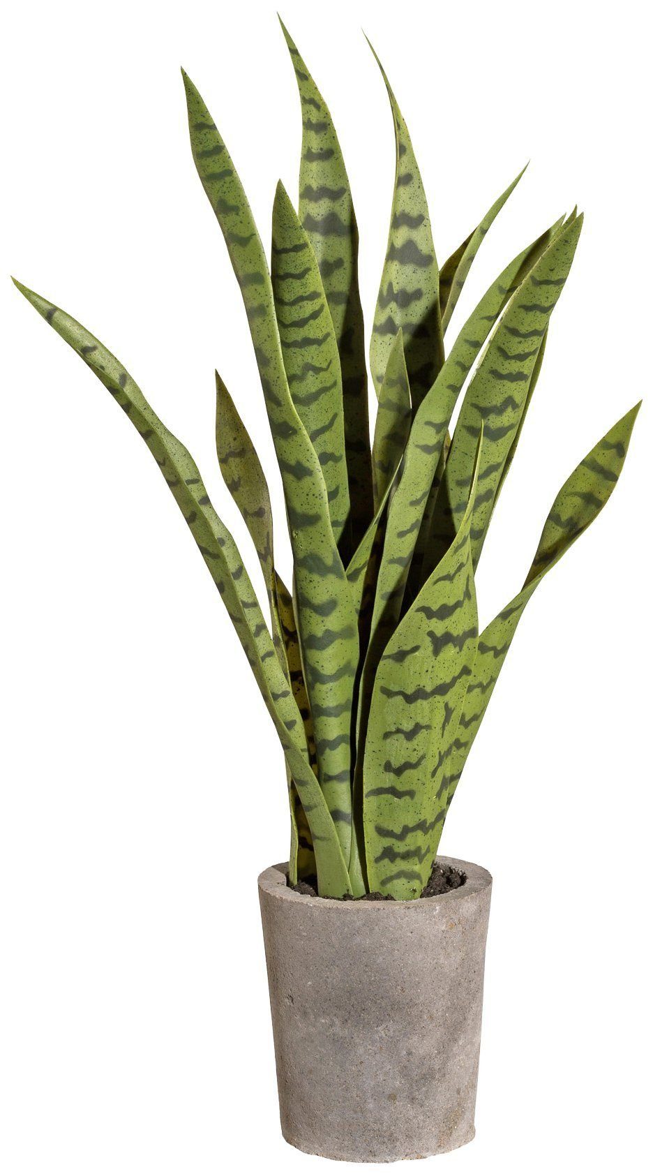 Creativ Sanseveria, green, im 60 Kunstpflanze Zementtopf Höhe cm,