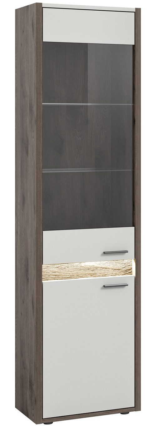 xonox.home Vitrine Vitrine Falcona, Nox Oak dunkel / hellgrau, inkl. Frontbeleuchtung Glasschrank Eiche dunkel ca. 50 cm breit