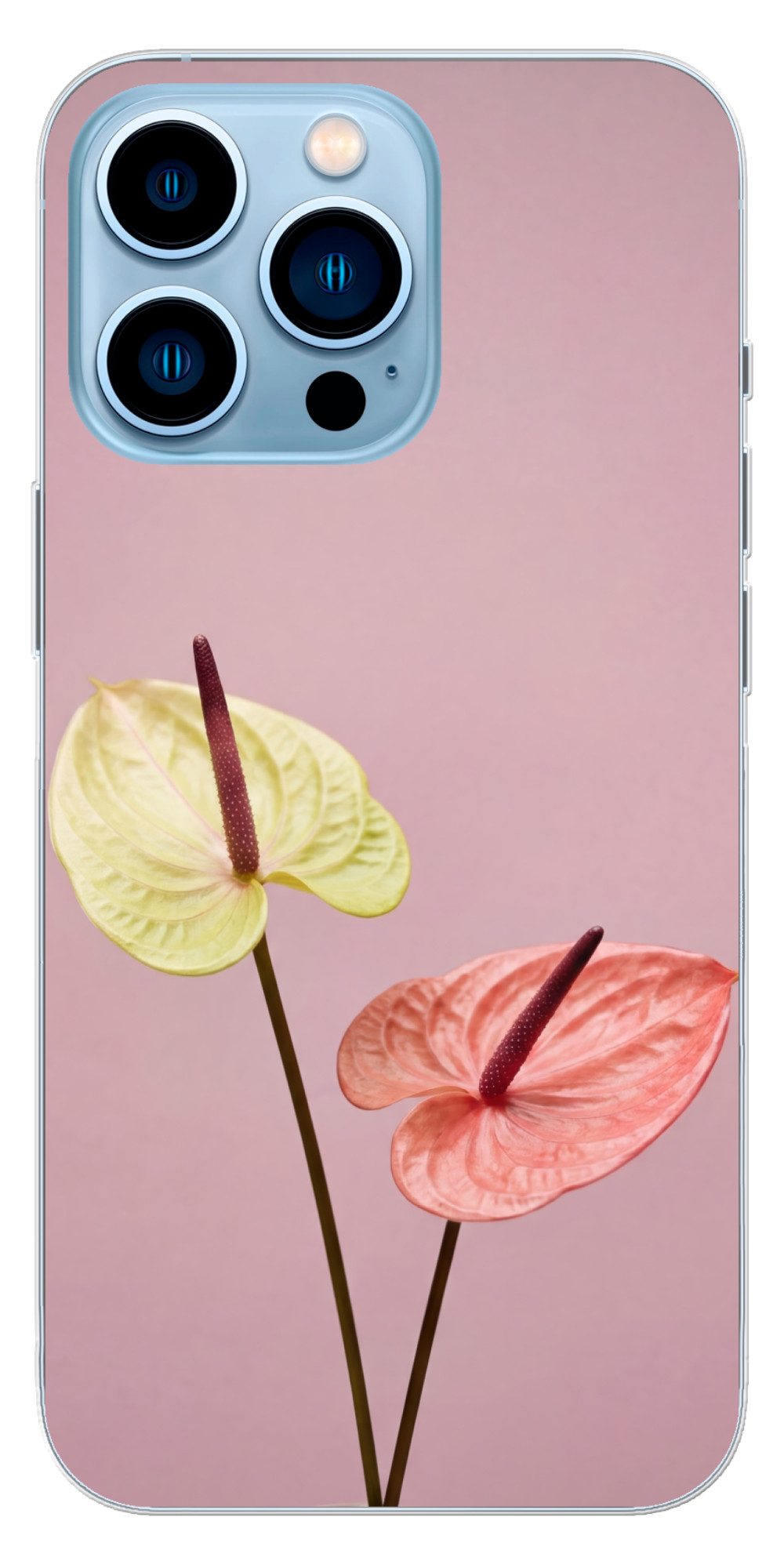 MuchoWow Handyhülle für Apple iPhone 13 Pro Blumen - Anthurien - Gelb - Rosa, Smartphone-Bumper, Print, Handy Schutzhülle Dünn