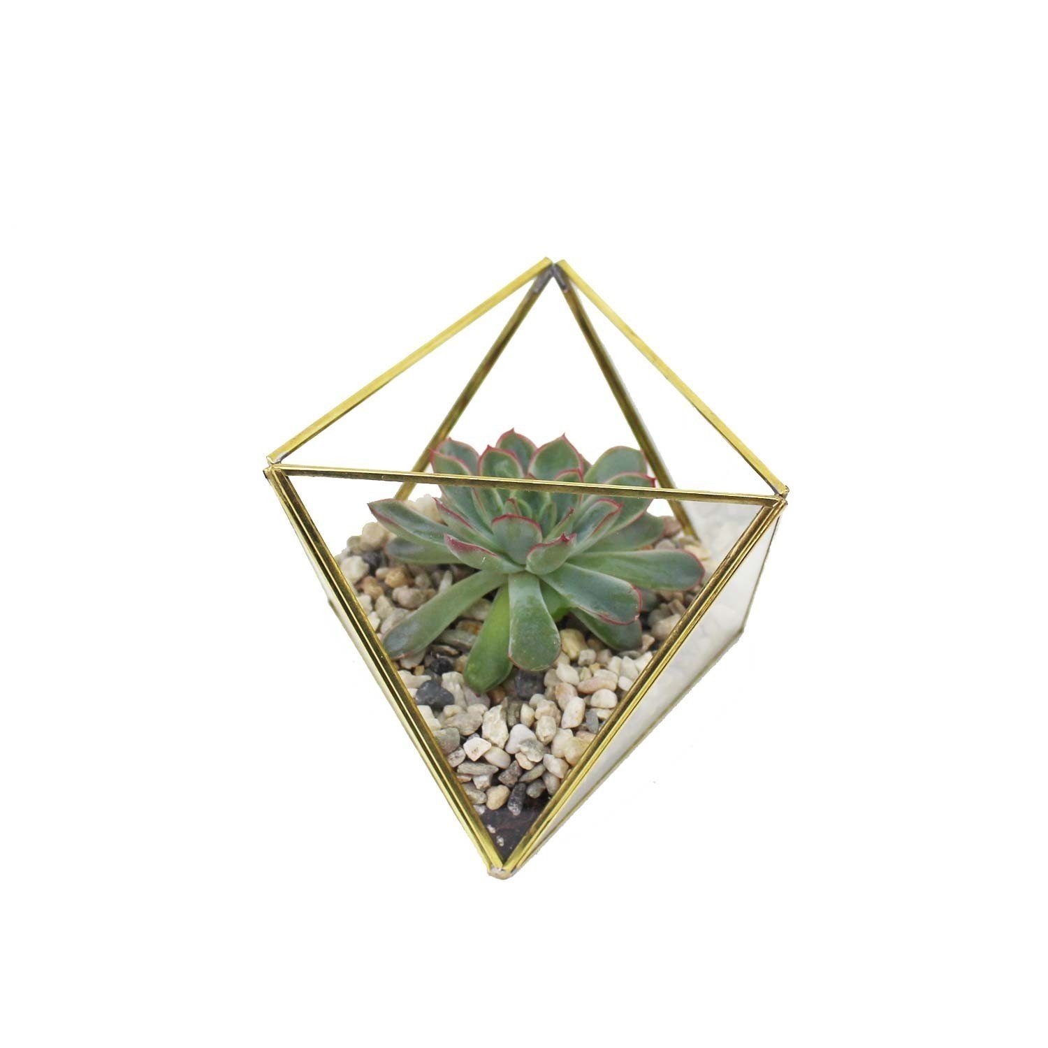 Terrarium Geometrisches Terrarium aus Glas, Dreieck