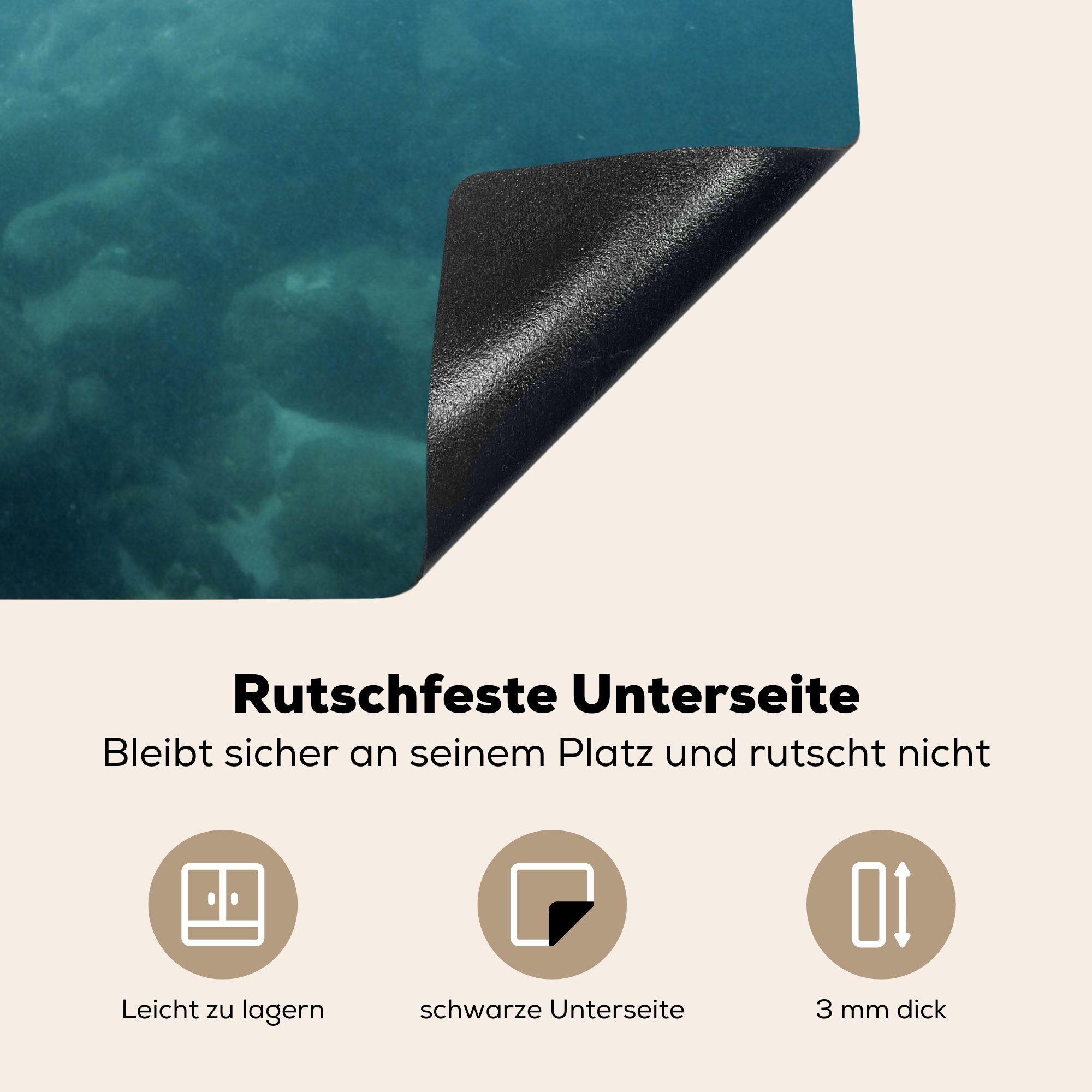 MuchoWow Herdblende-/Abdeckplatte Amerika - Wasser - 77x59 Arbeitsplatte Schildkröte, Ceranfeldabdeckung, tlg), für cm, (1 küche Vinyl